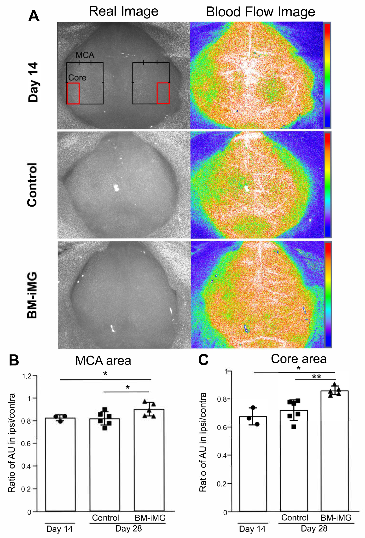 Biomedicines 13 01347 g007