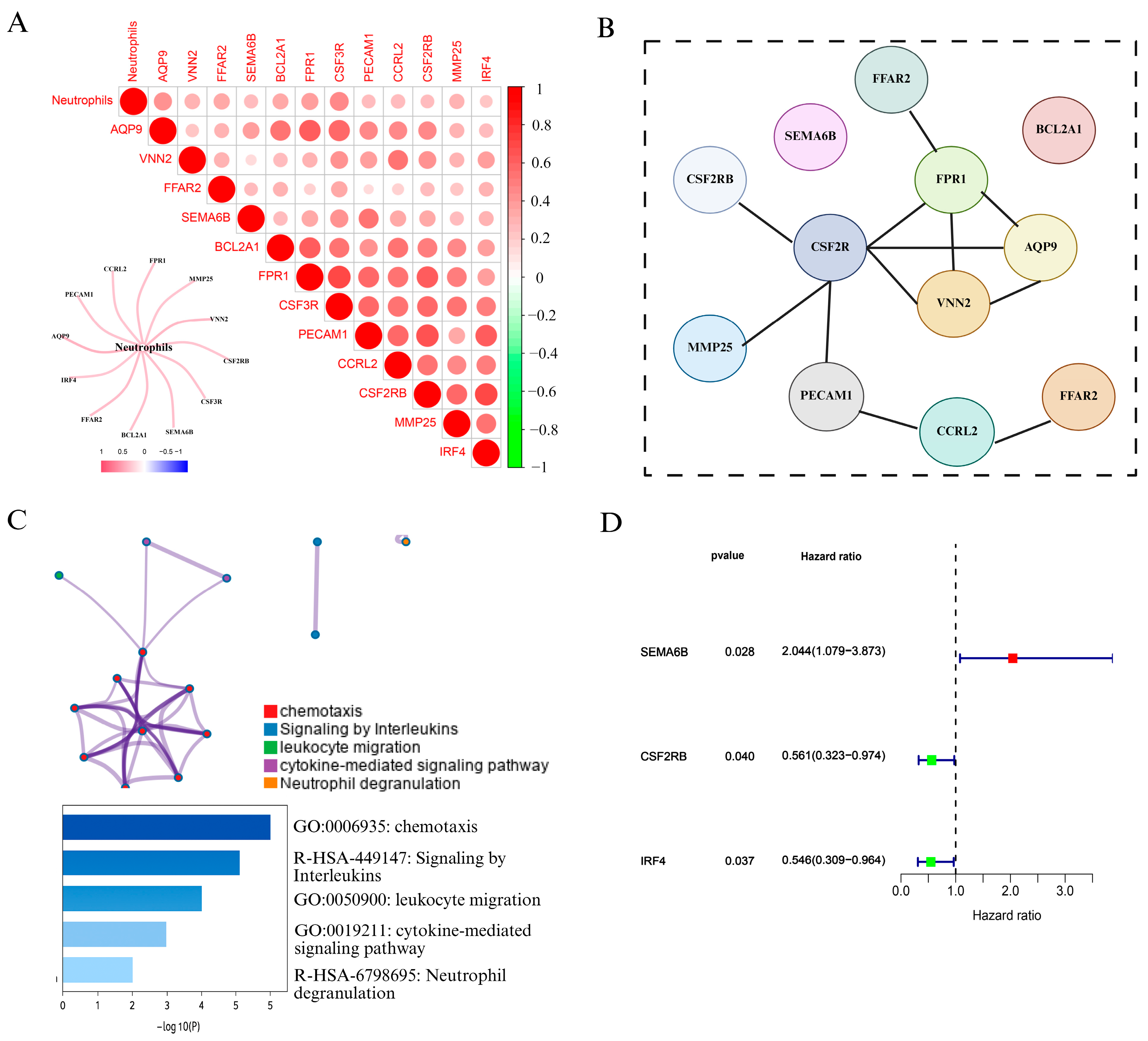 Biomedicines 13 01348 g002