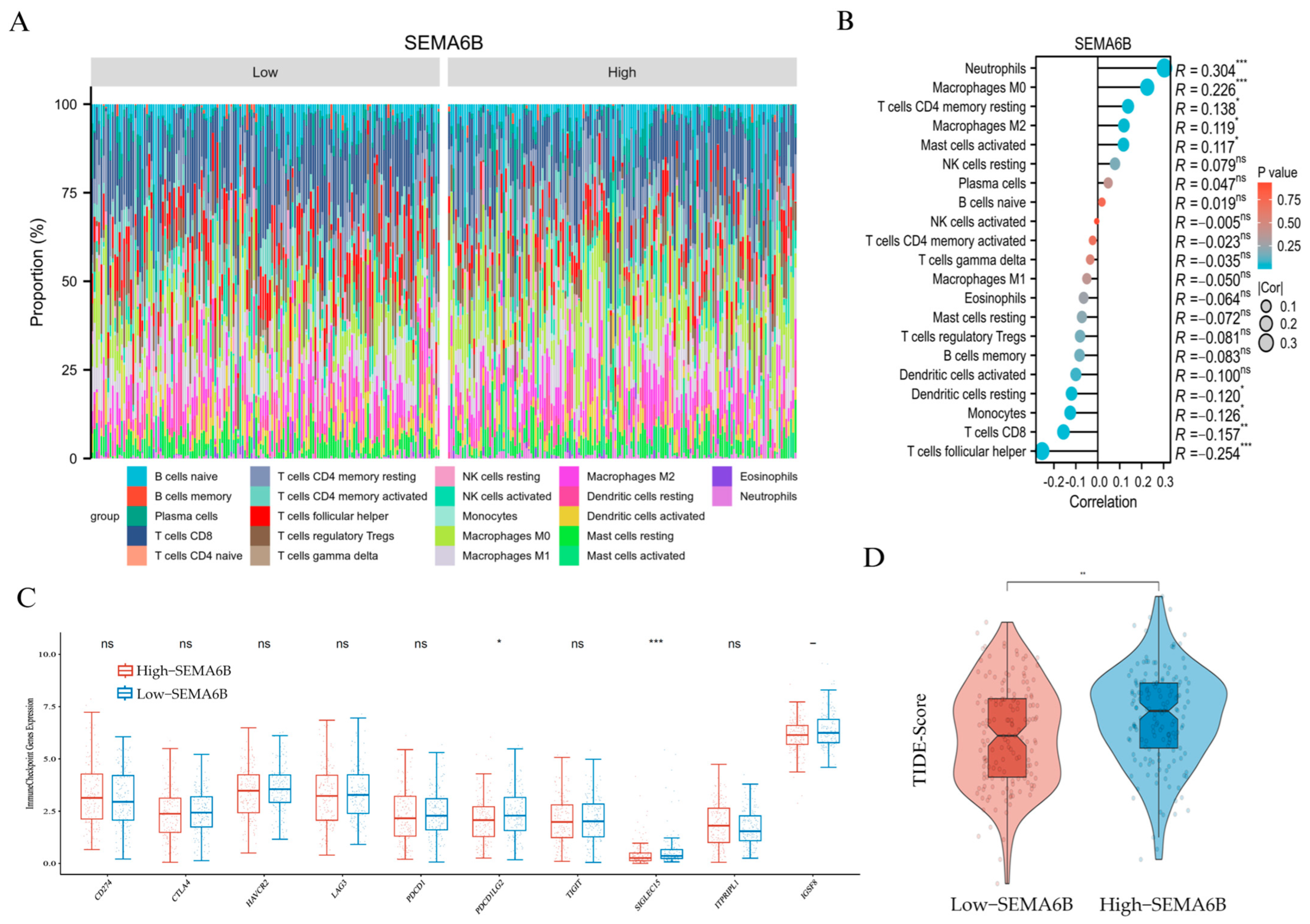 Biomedicines 13 01348 g007