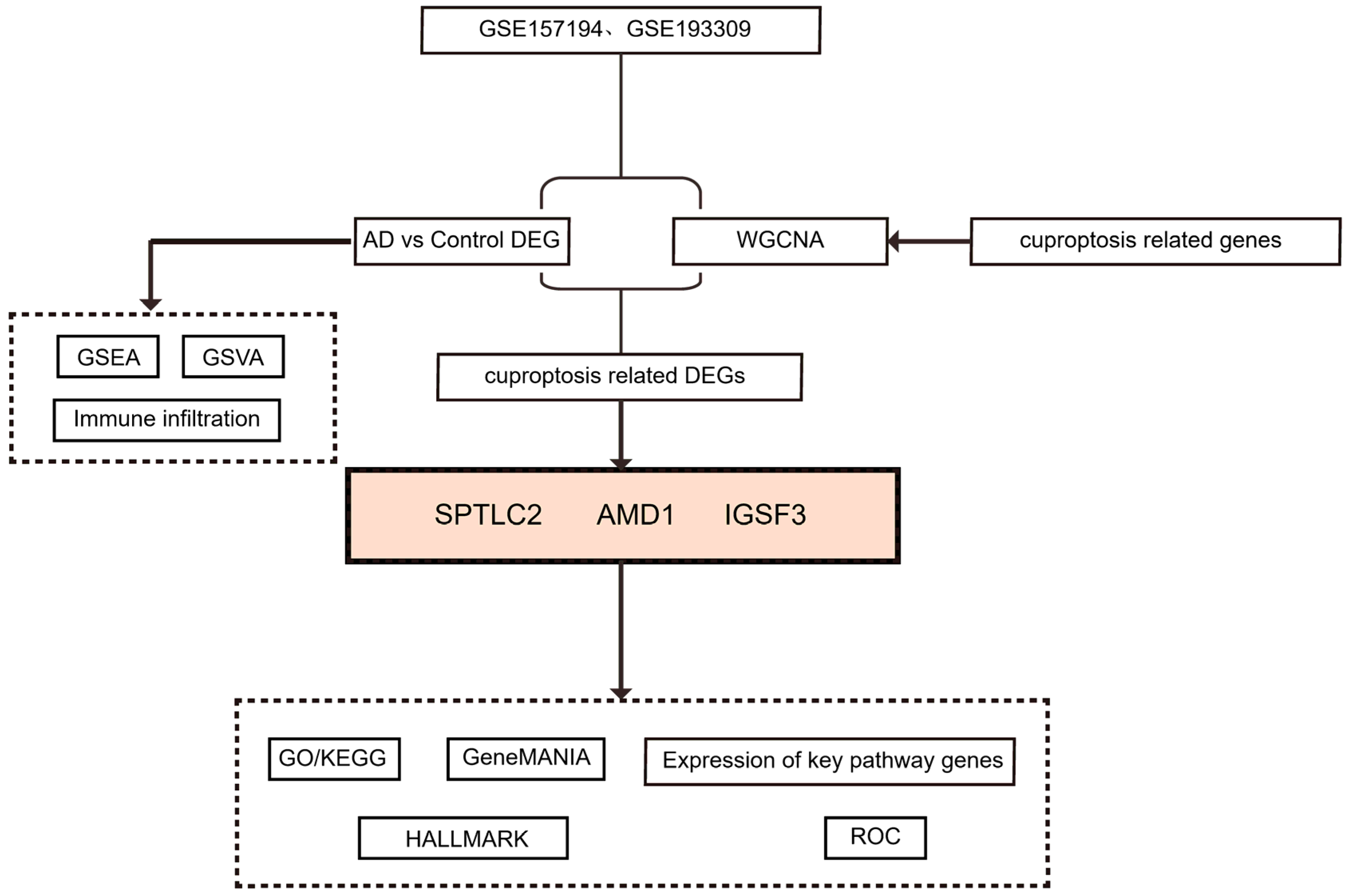 Biomedicines 13 01349 g001