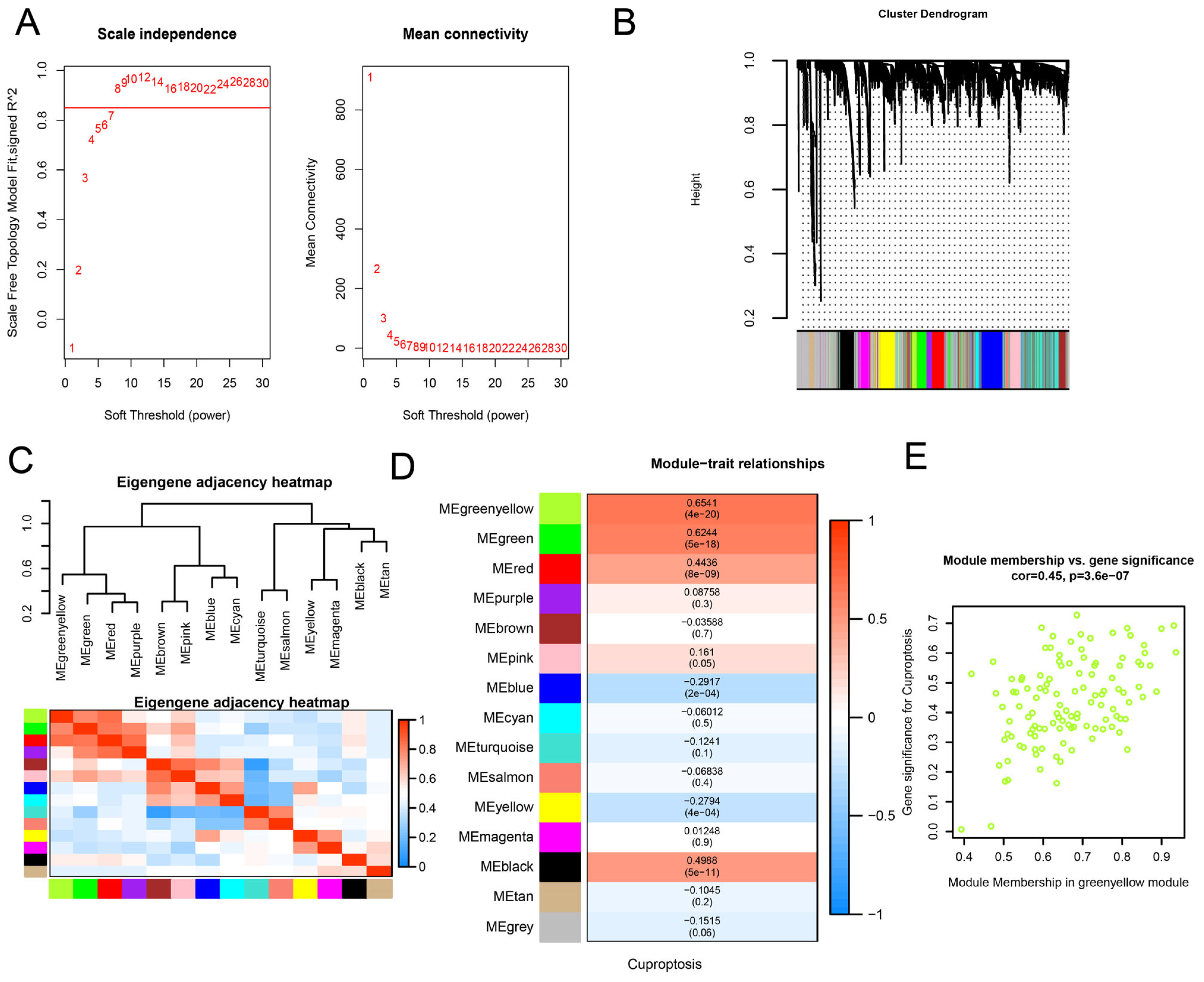 Biomedicines 13 01349 g002
