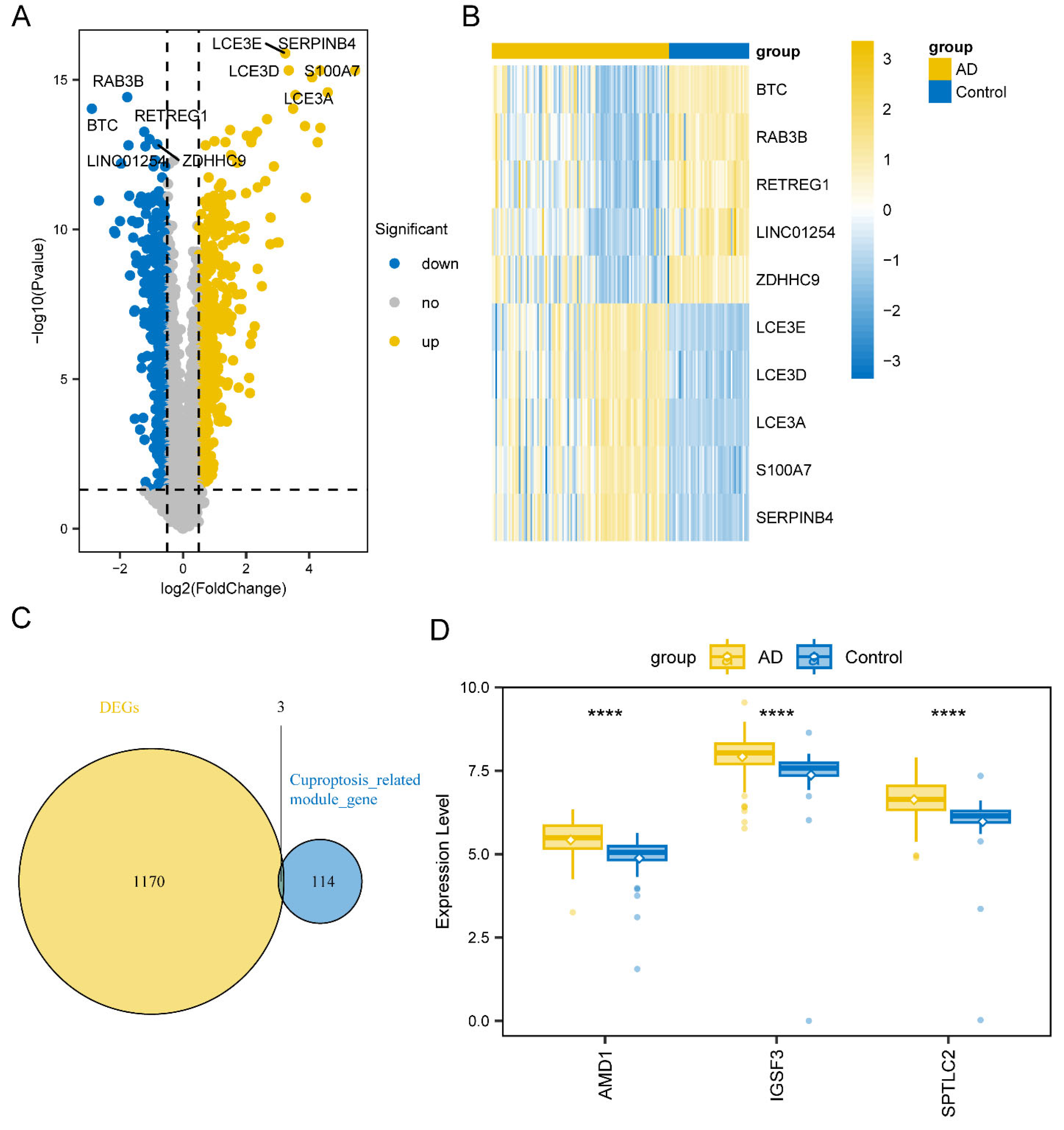 Biomedicines 13 01349 g003