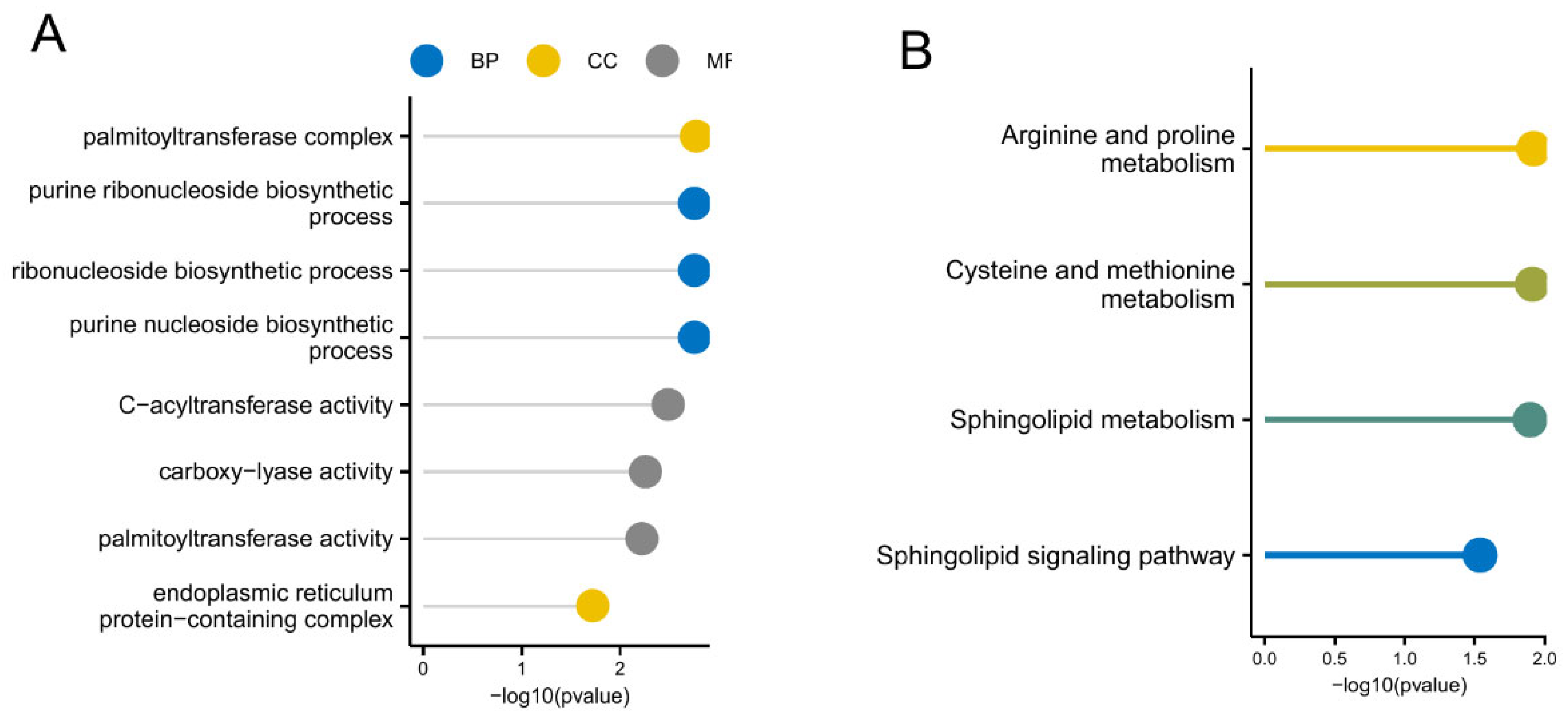 Biomedicines 13 01349 g005