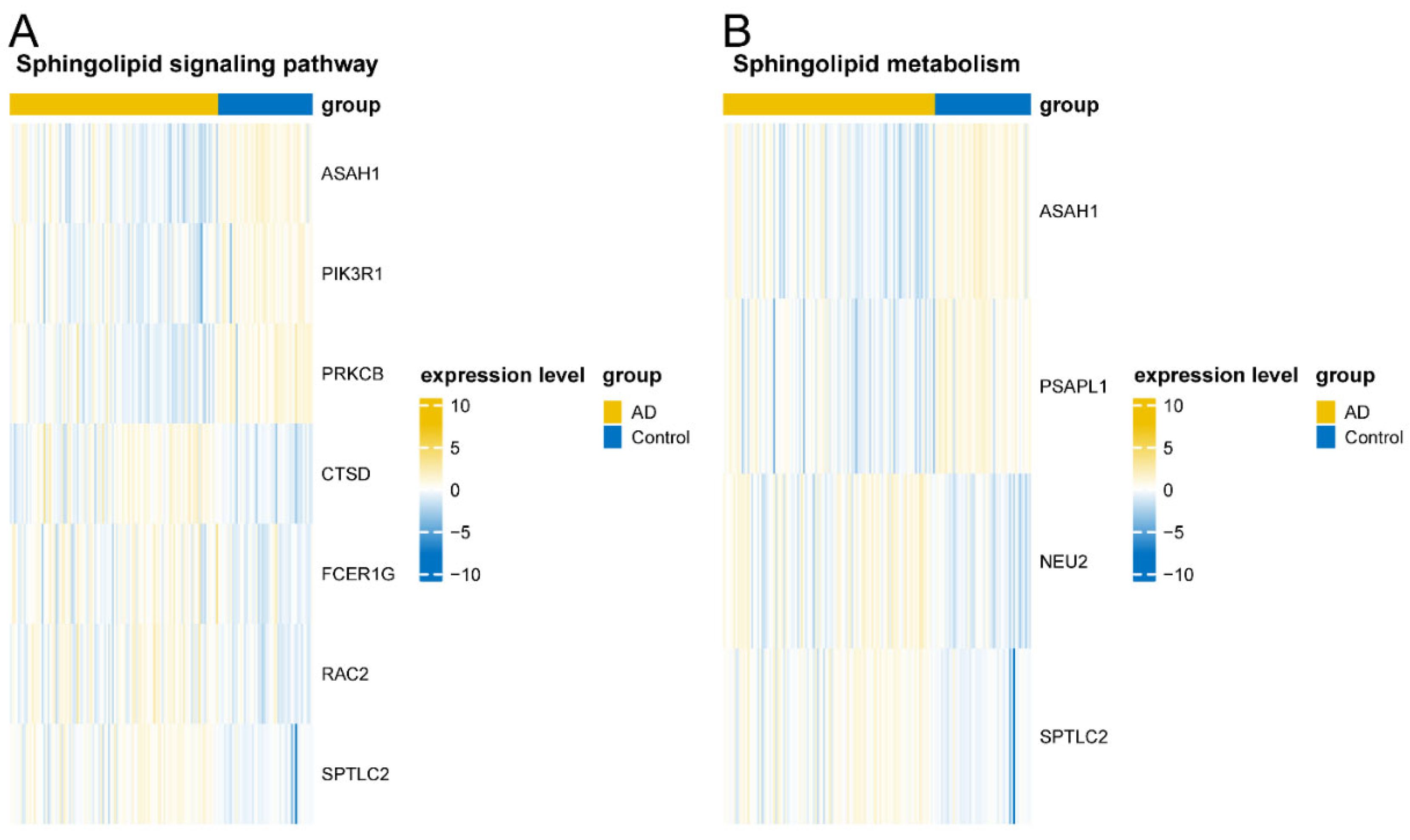 Biomedicines 13 01349 g007
