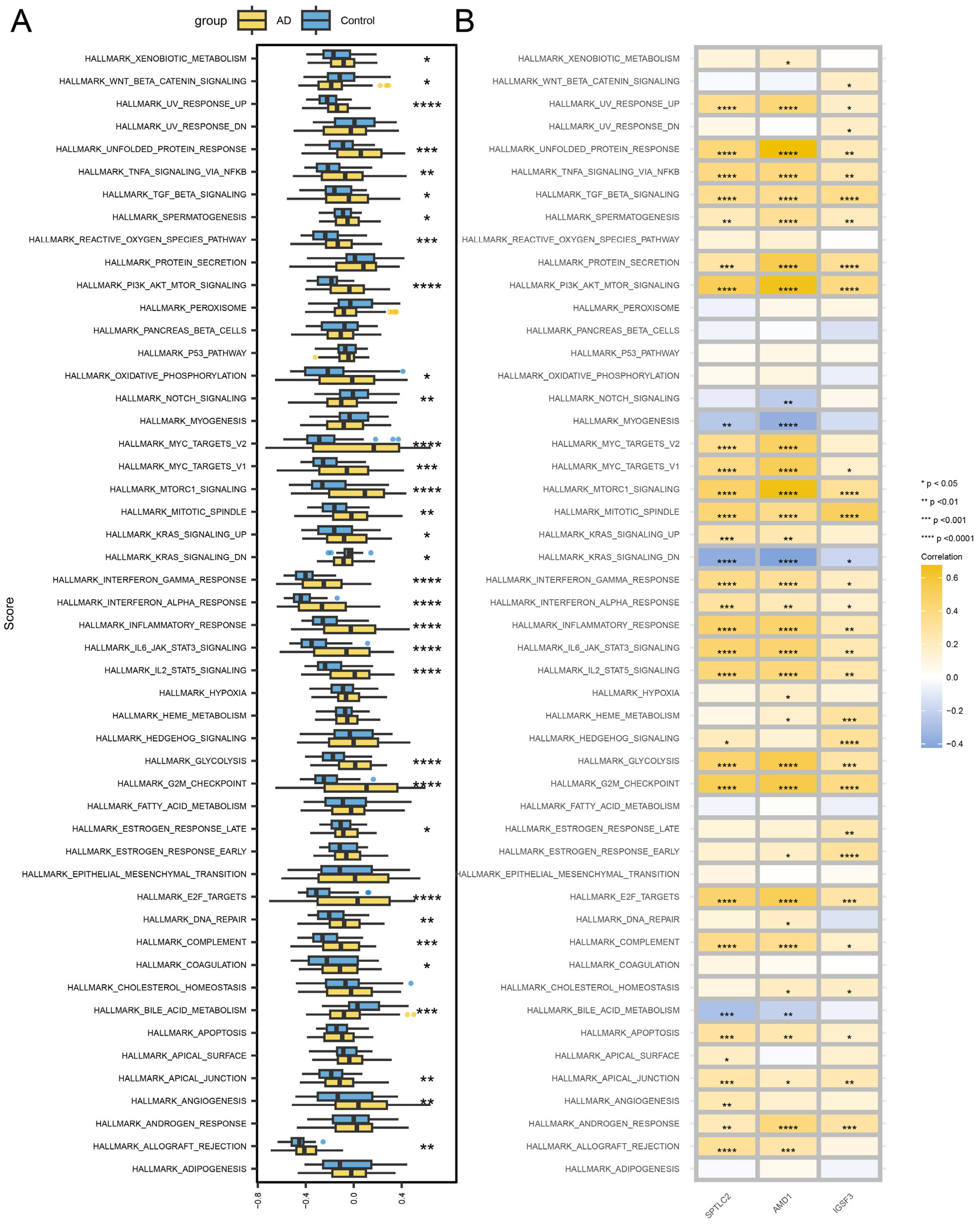 Biomedicines 13 01349 g009
