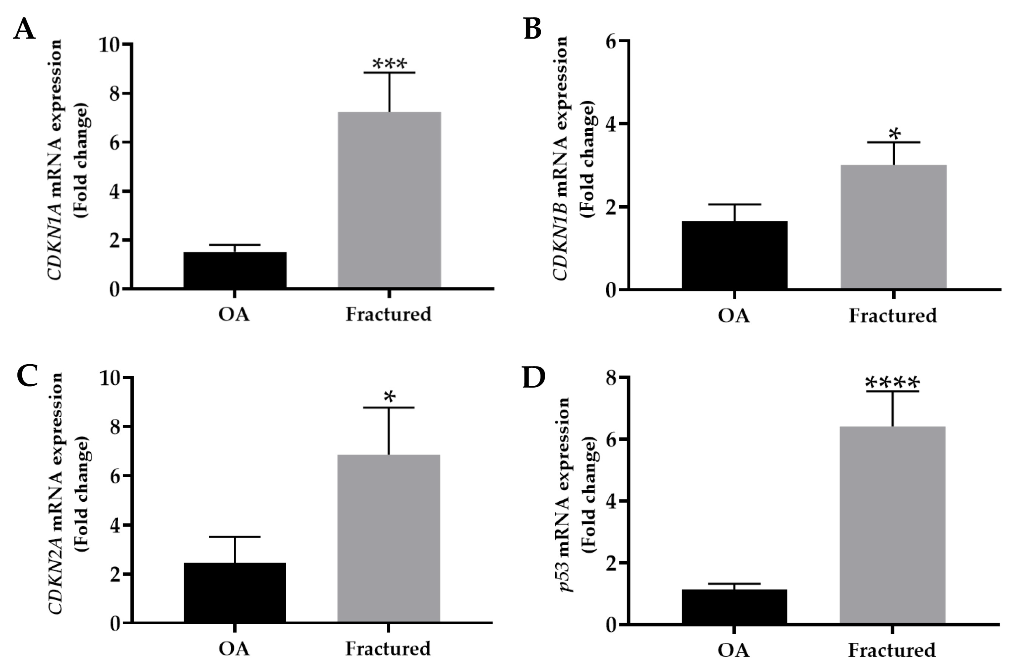 Biomedicines 13 01350 g002