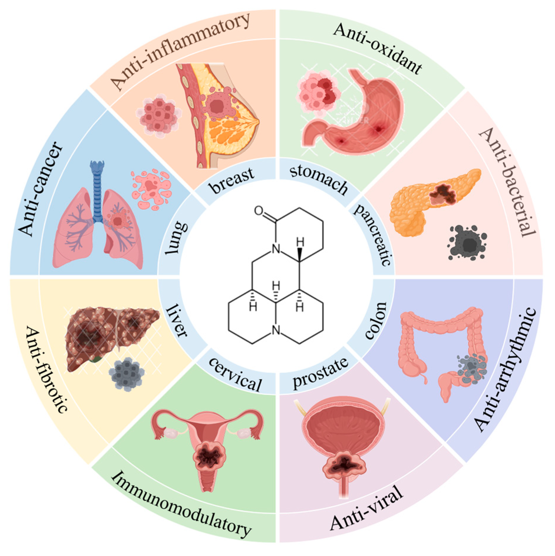 Biomedicines 13 01355 g003