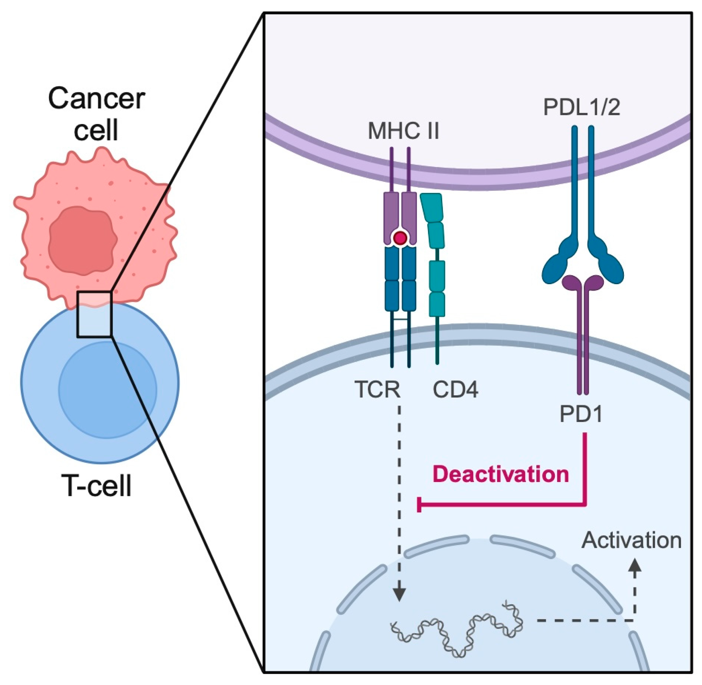 Biomedicines 13 01356 g001