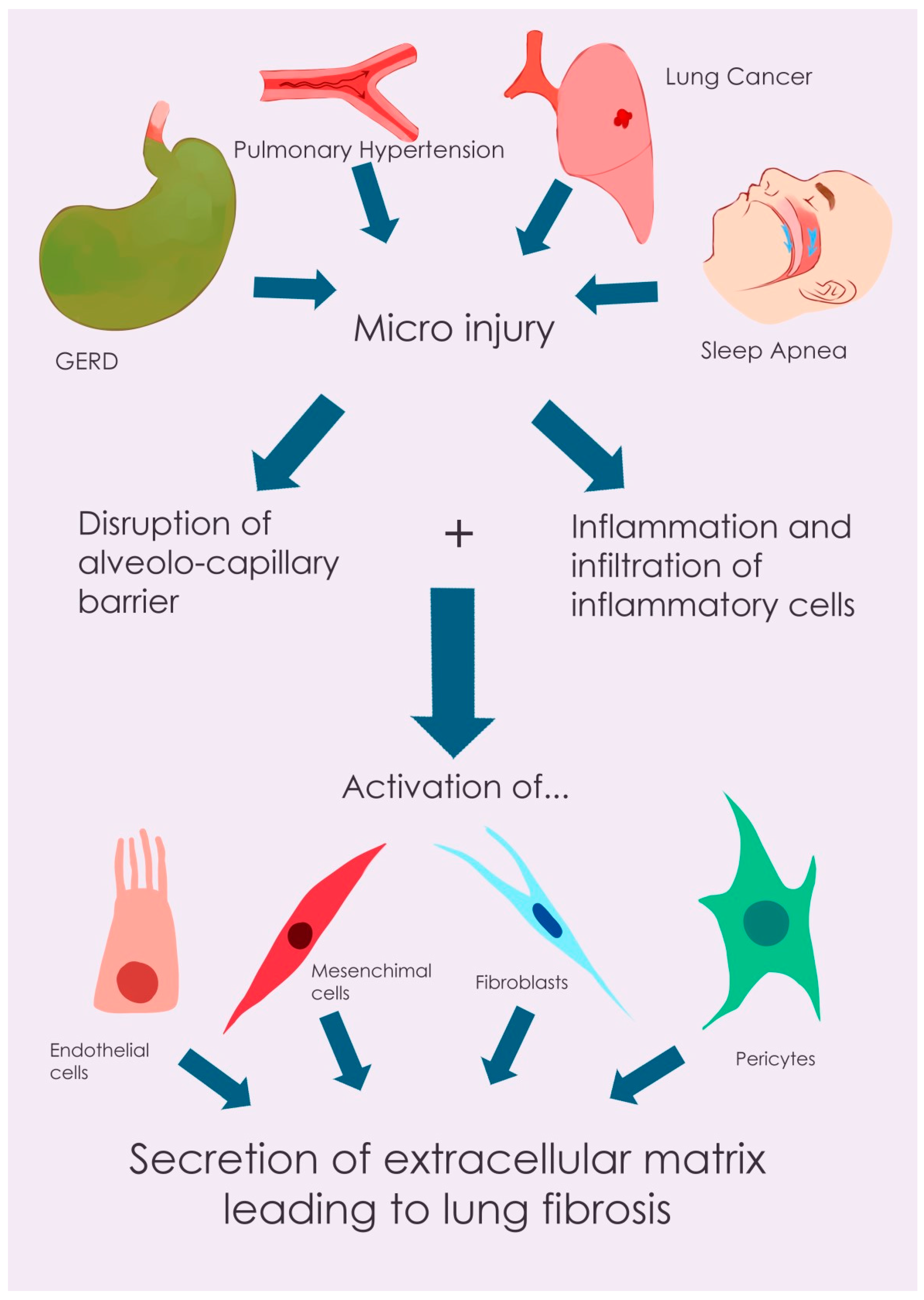 Biomedicines 13 01362 g001 Biomedicines 13 01362 g001