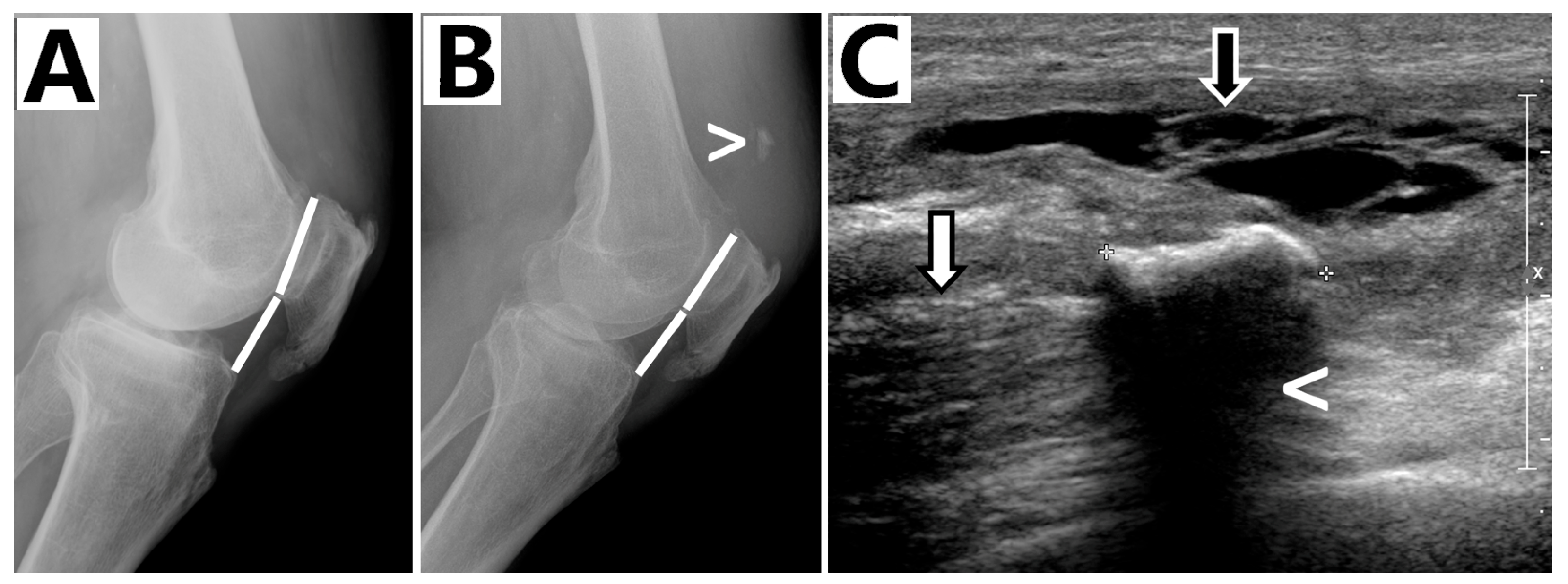 Biomedicines 13 01363 g001
