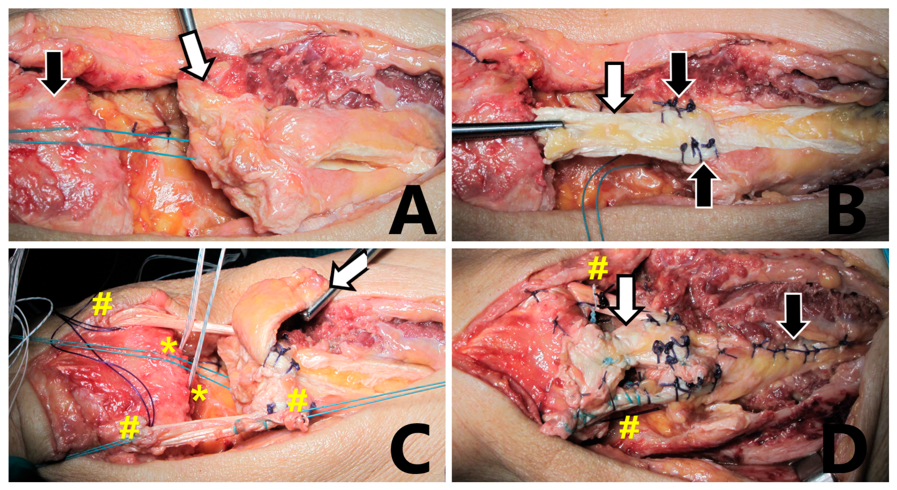 Biomedicines 13 01363 g002