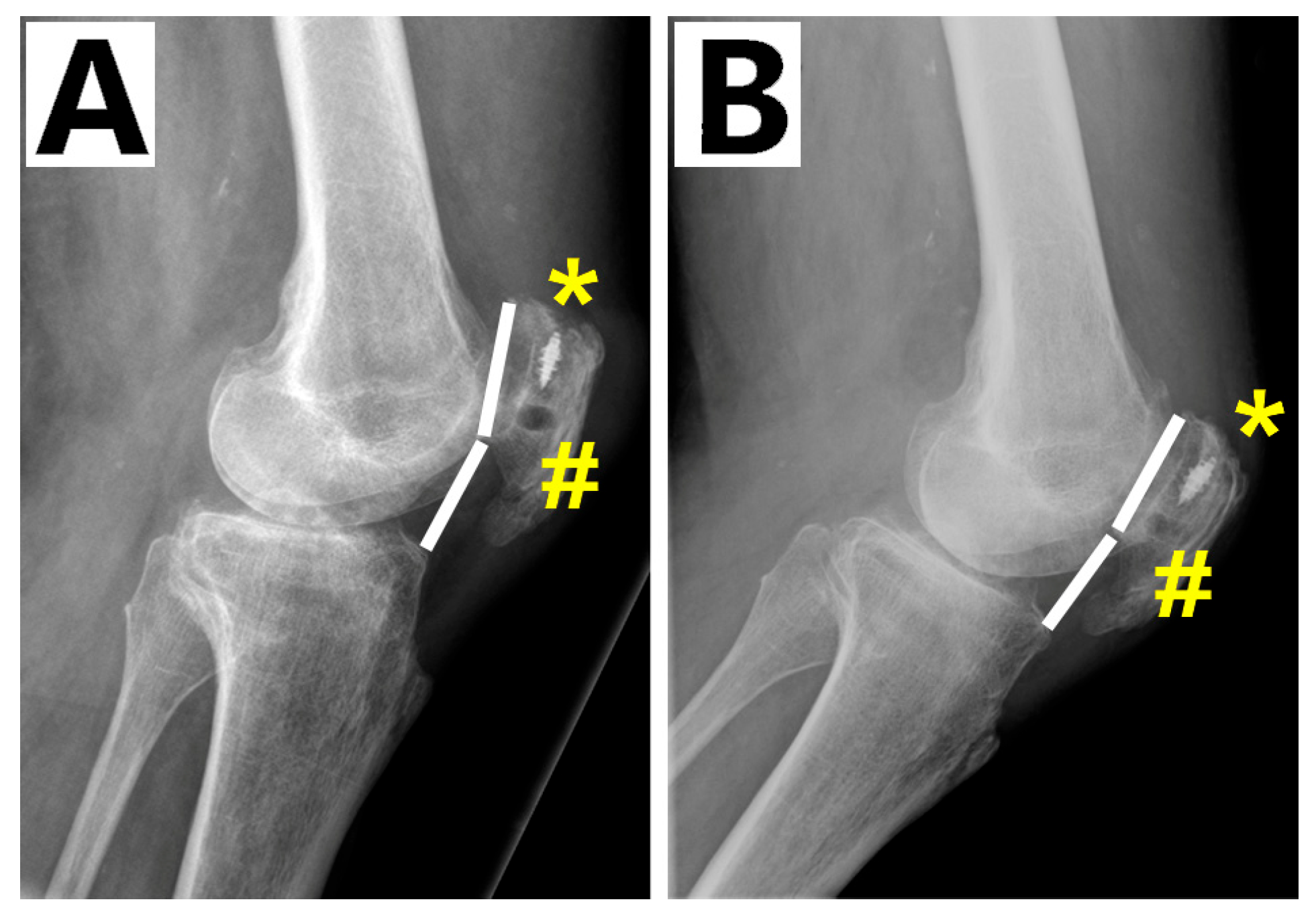 Biomedicines 13 01363 g003