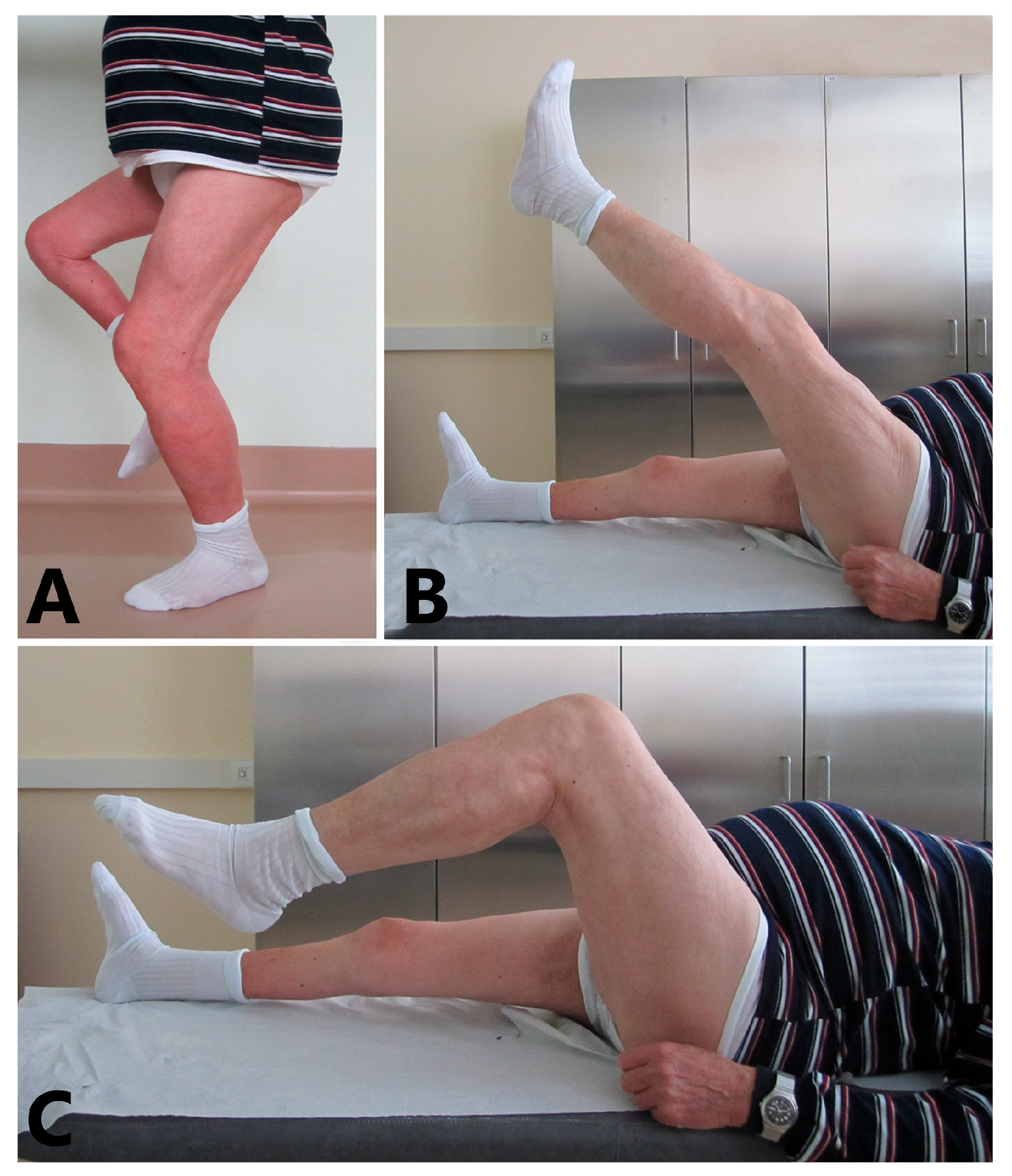 Biomedicines 13 01363 g004