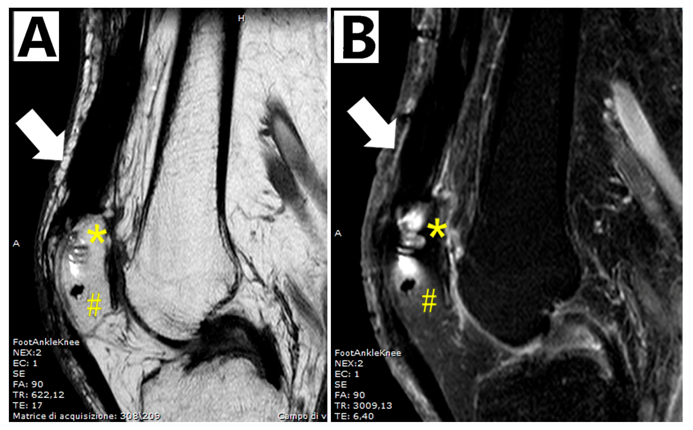 Biomedicines 13 01363 g005