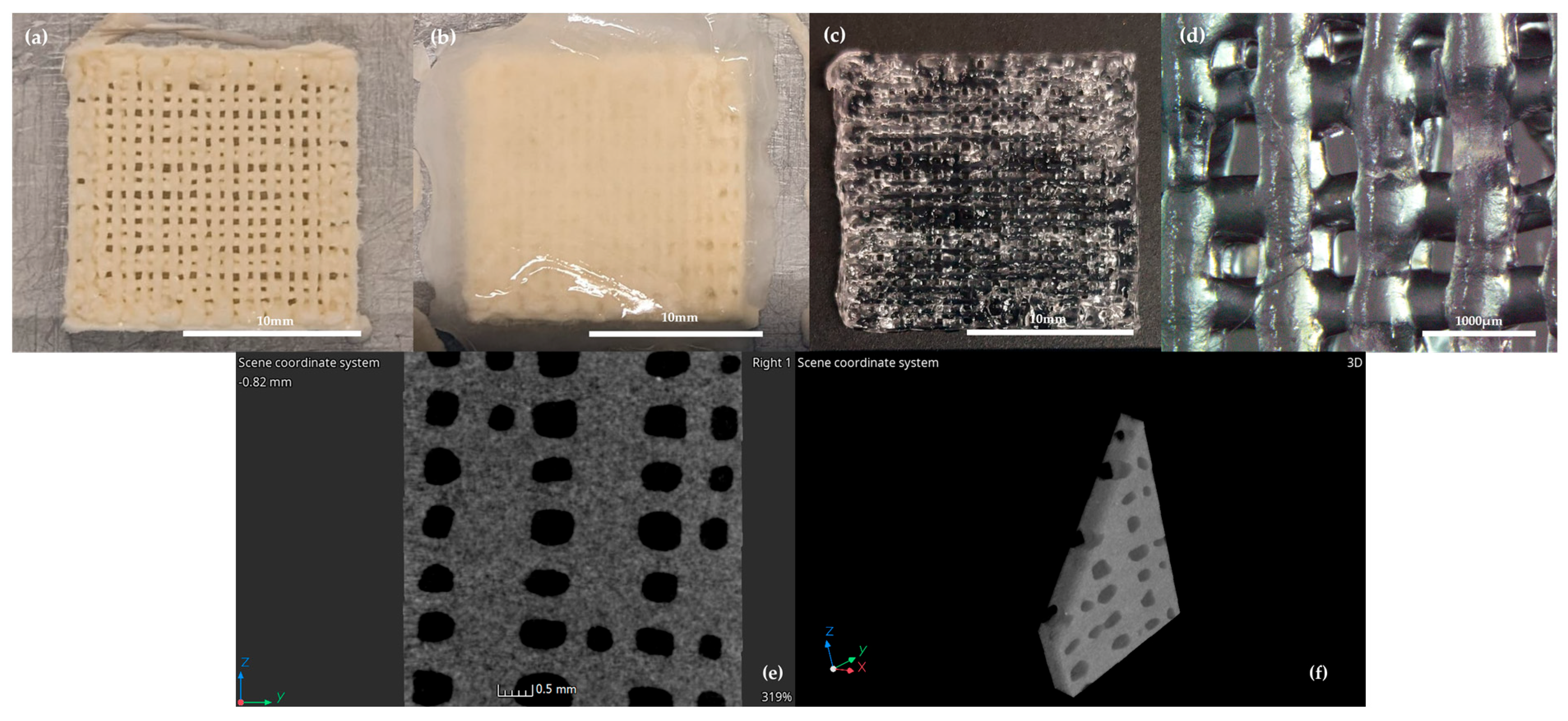 Biomedicines 13 01365 g001