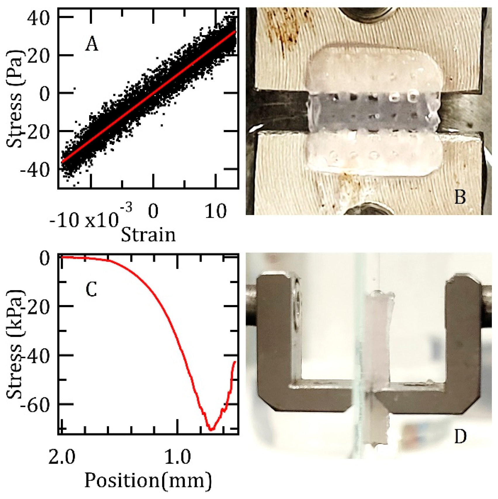 Biomedicines 13 01365 g003