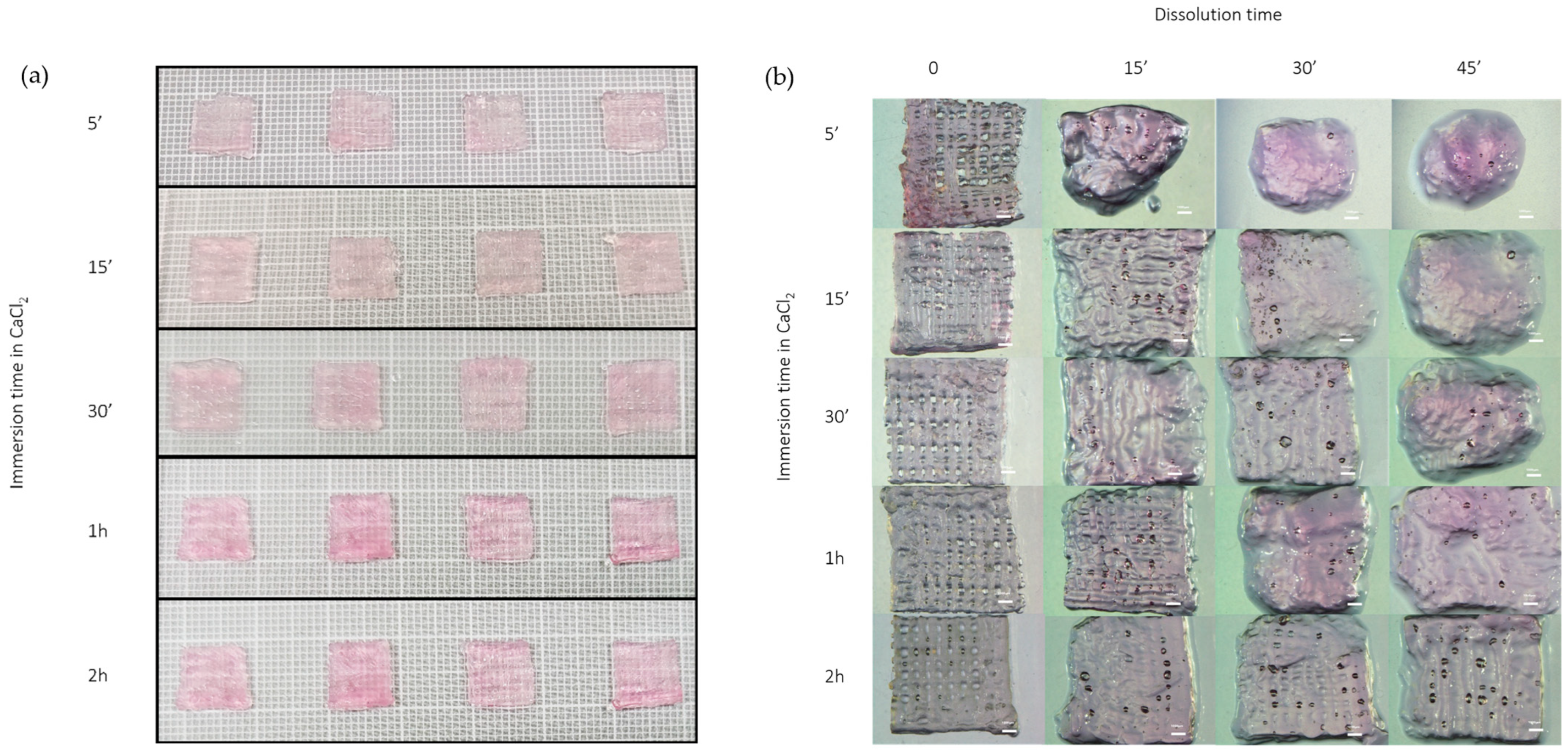 Biomedicines 13 01365 g004
