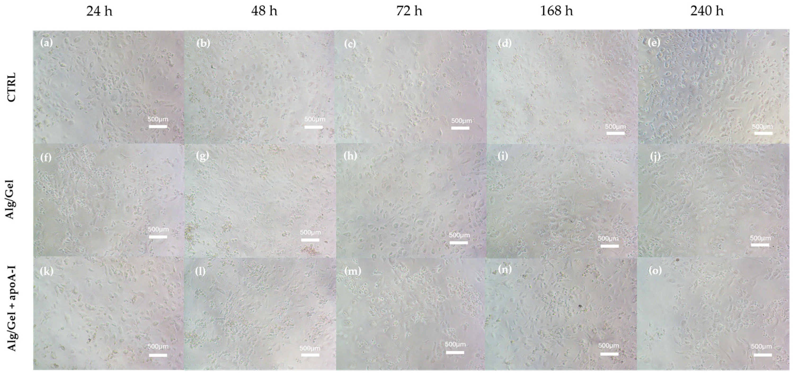 Biomedicines 13 01365 g008