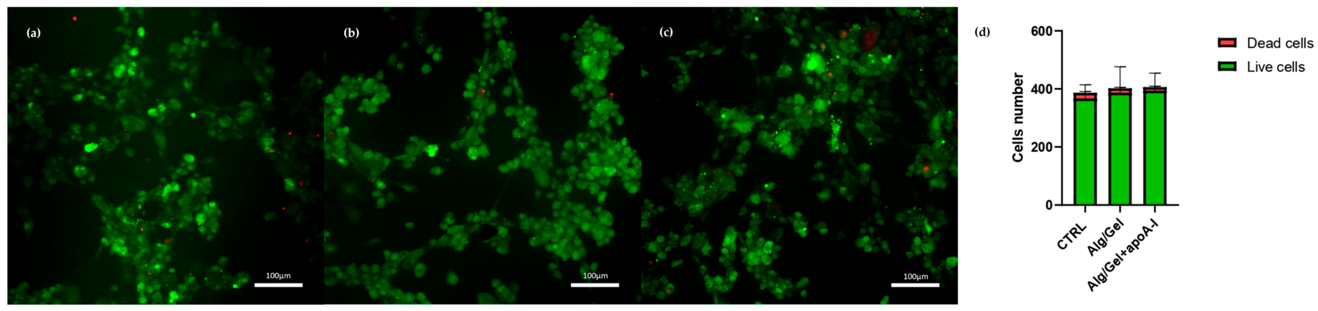Biomedicines 13 01365 g009