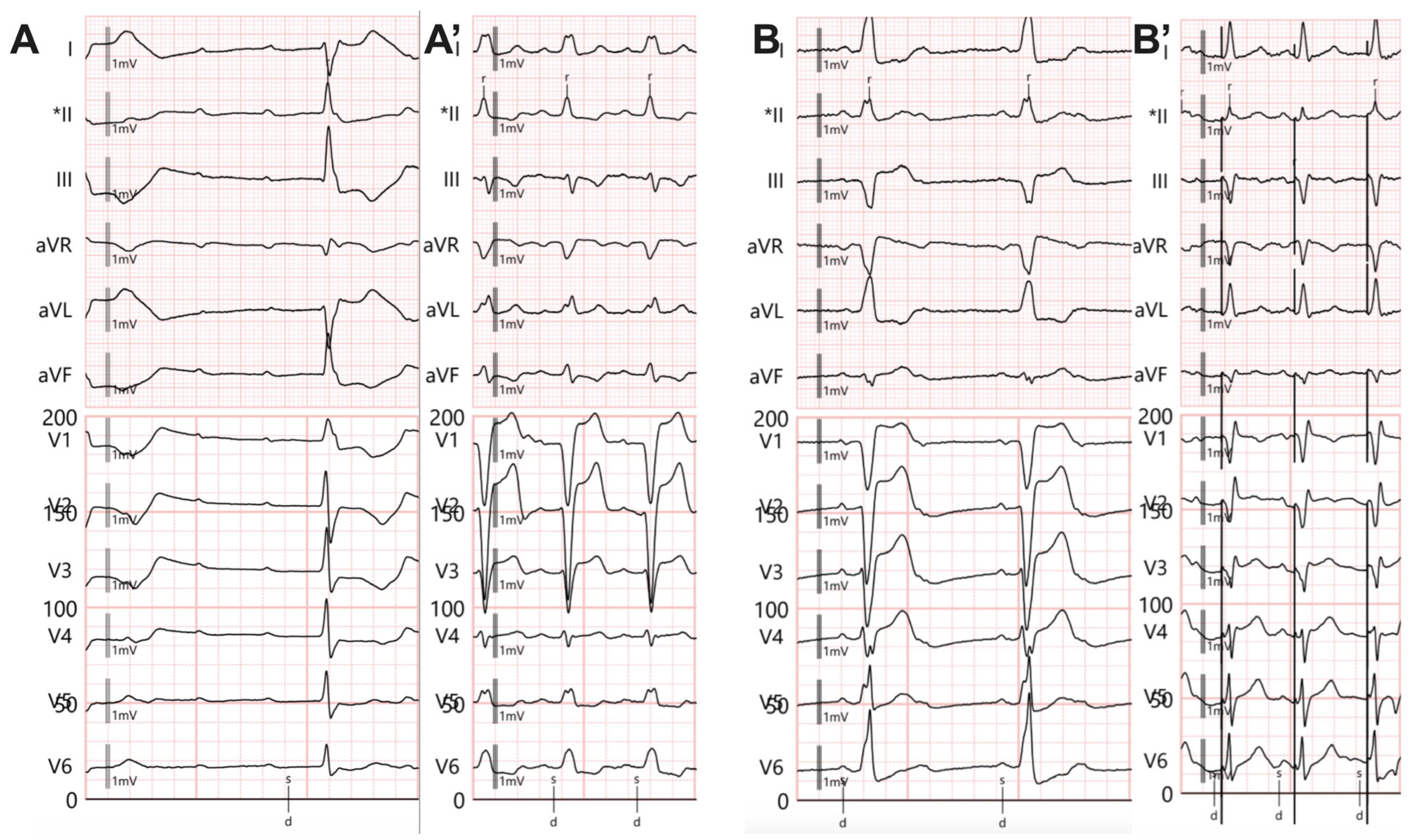 Biomedicines 13 01374 g002