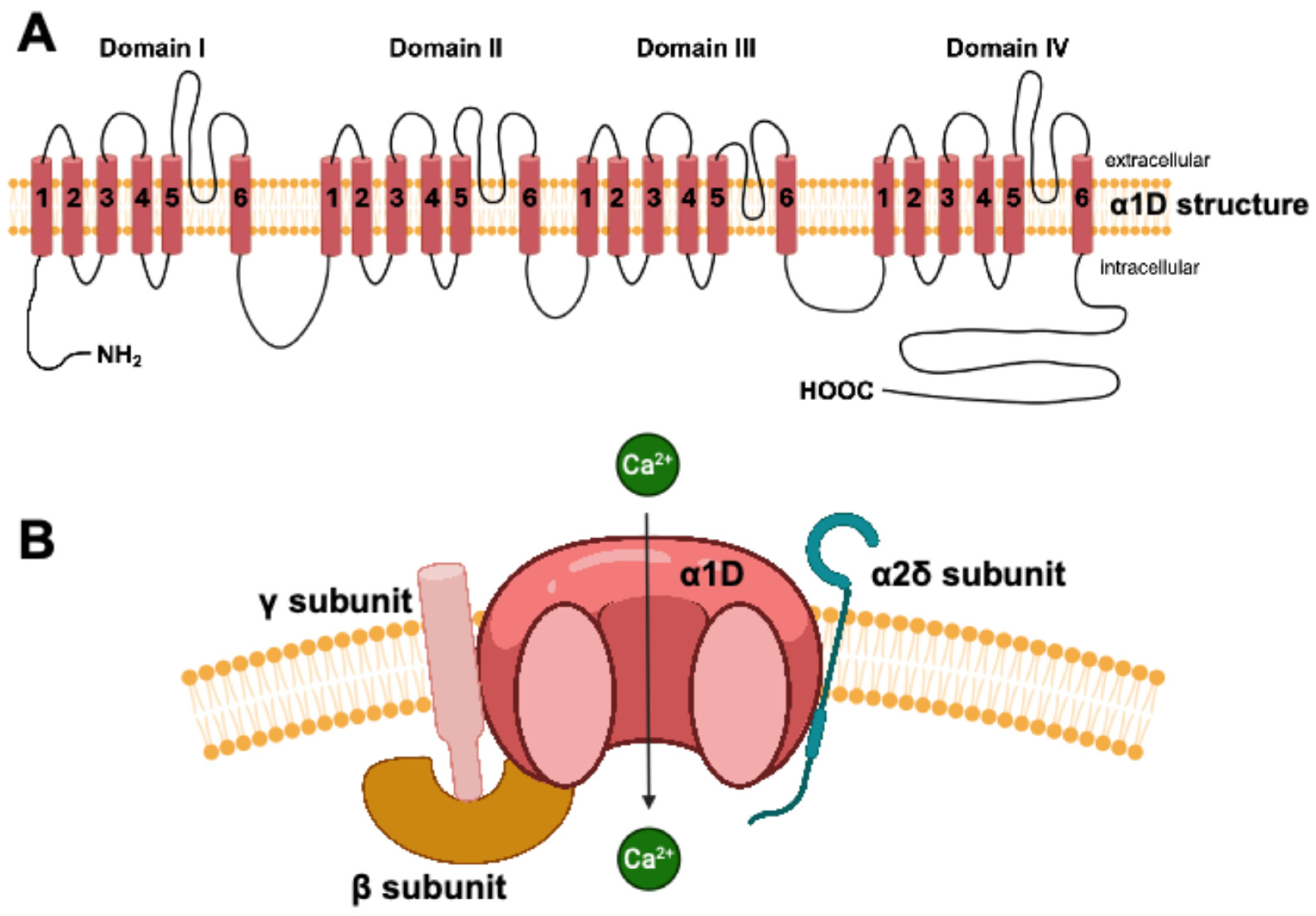 Biomedicines 13 01376 g002