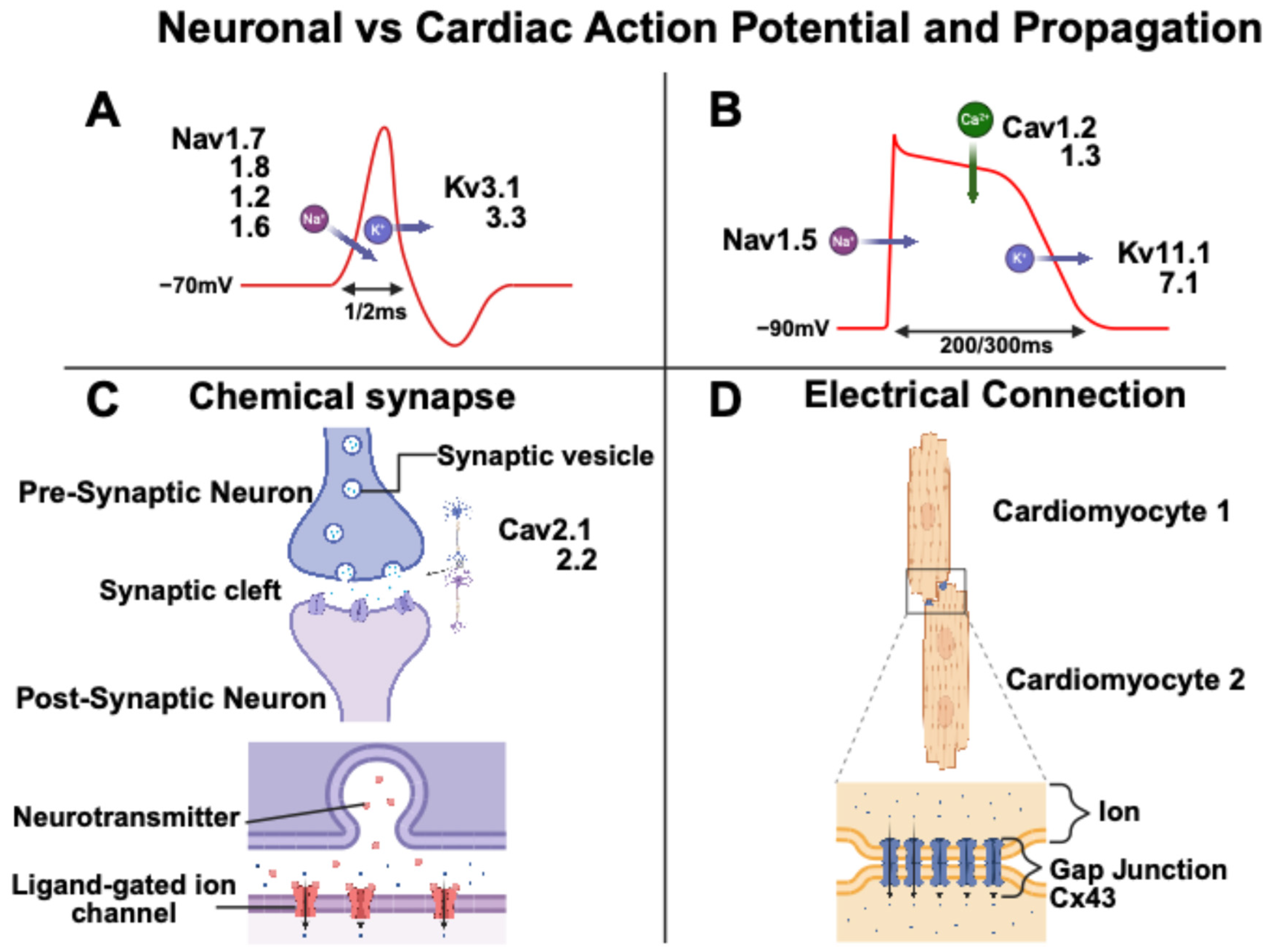 Biomedicines 13 01376 g003