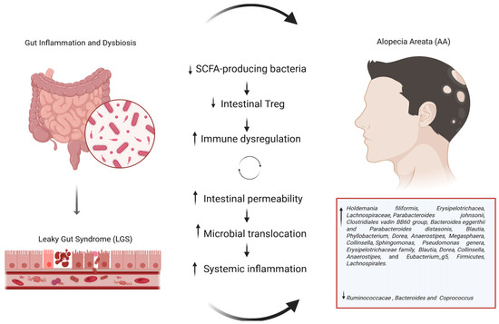 Roles of M1 Macrophages and Their Extracellular Vesicles in