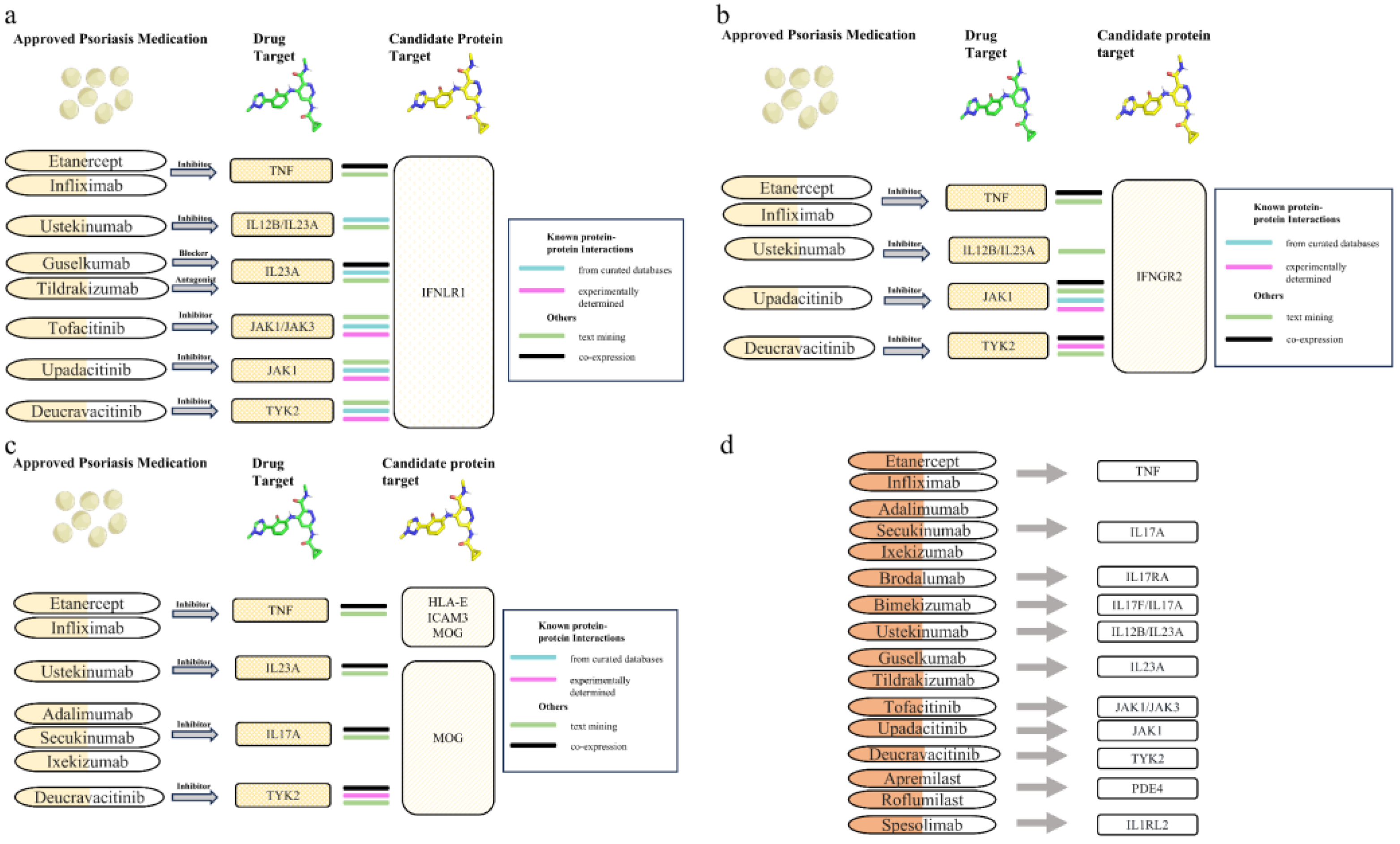 Biomedicines 13 01380 g005