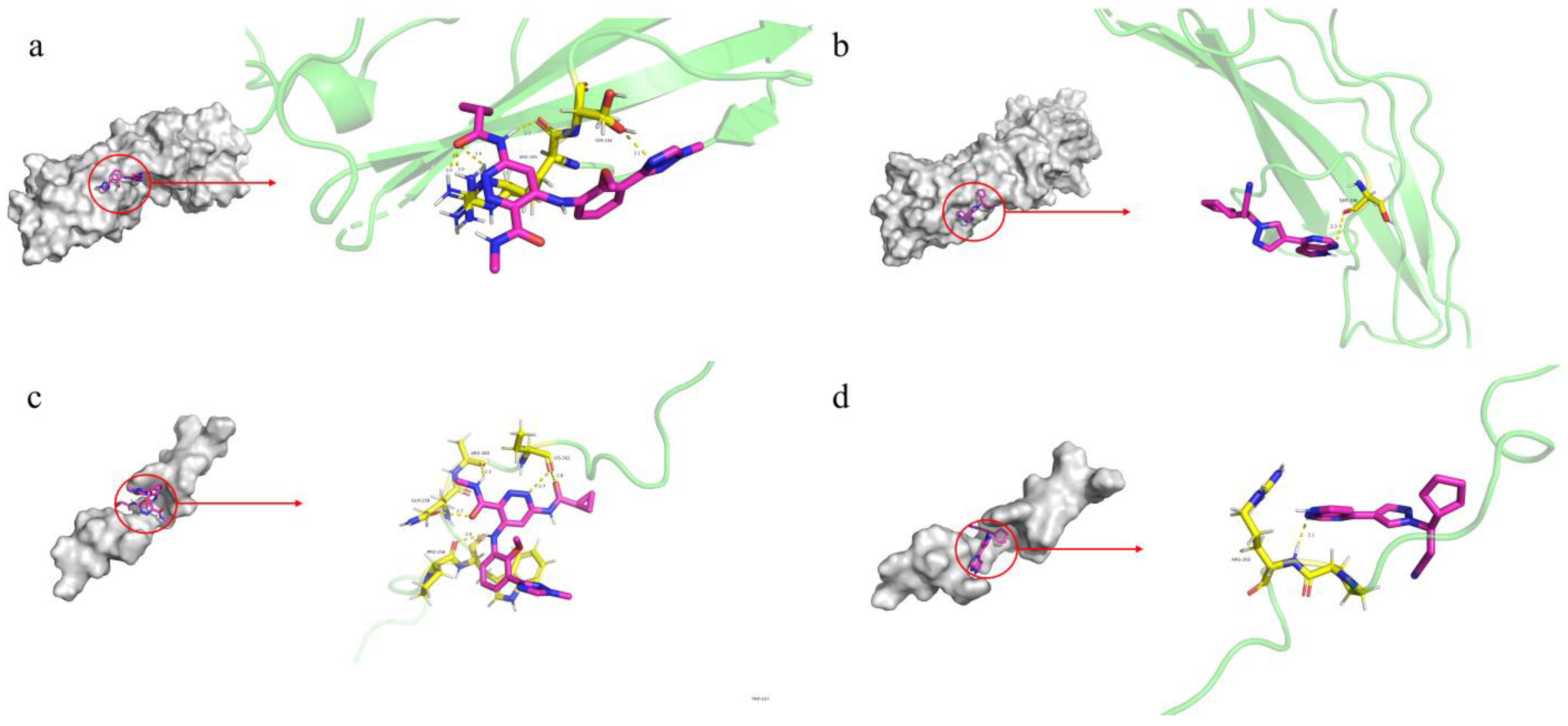 Biomedicines 13 01380 g006