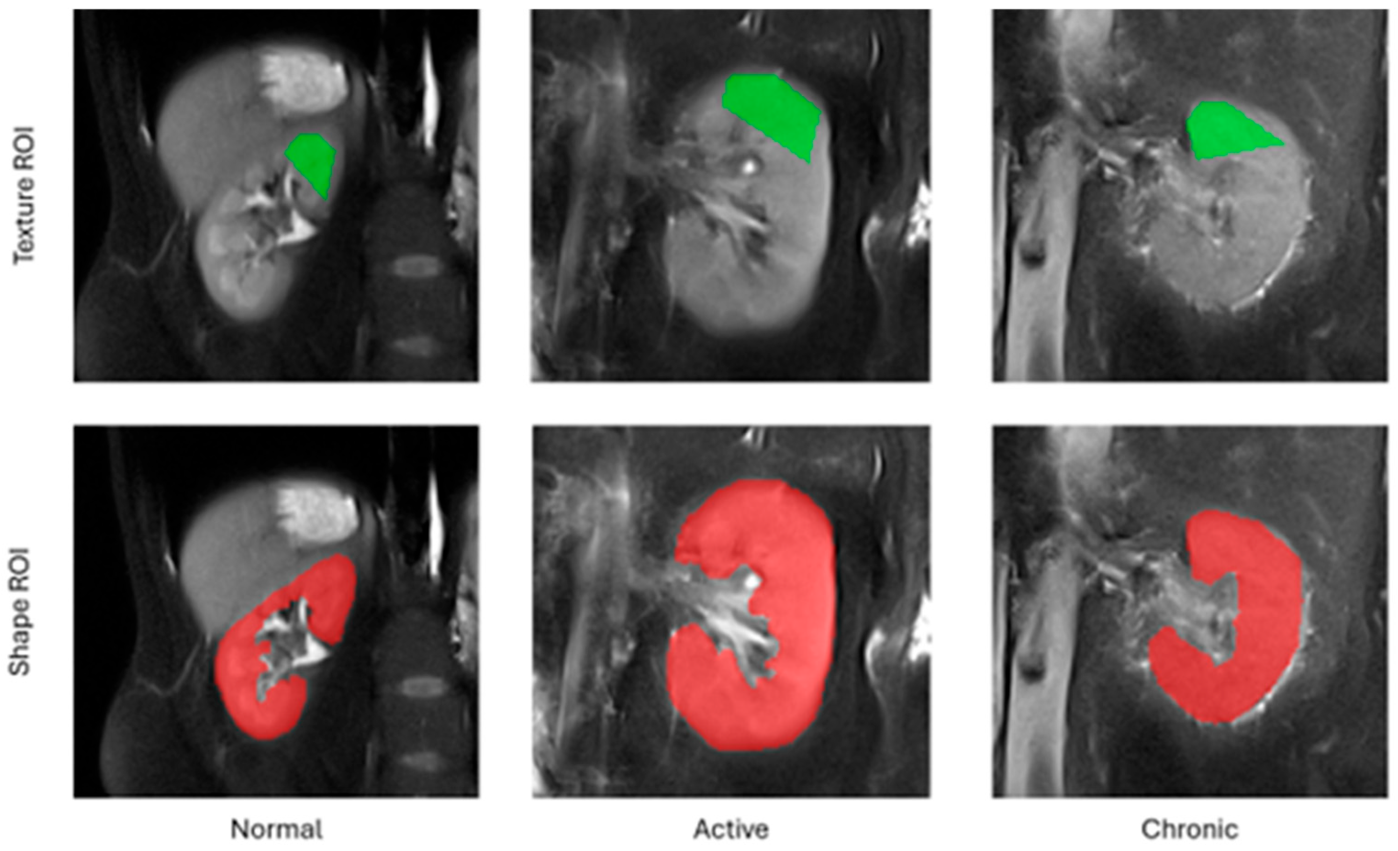Biomedicines 13 01381 g001