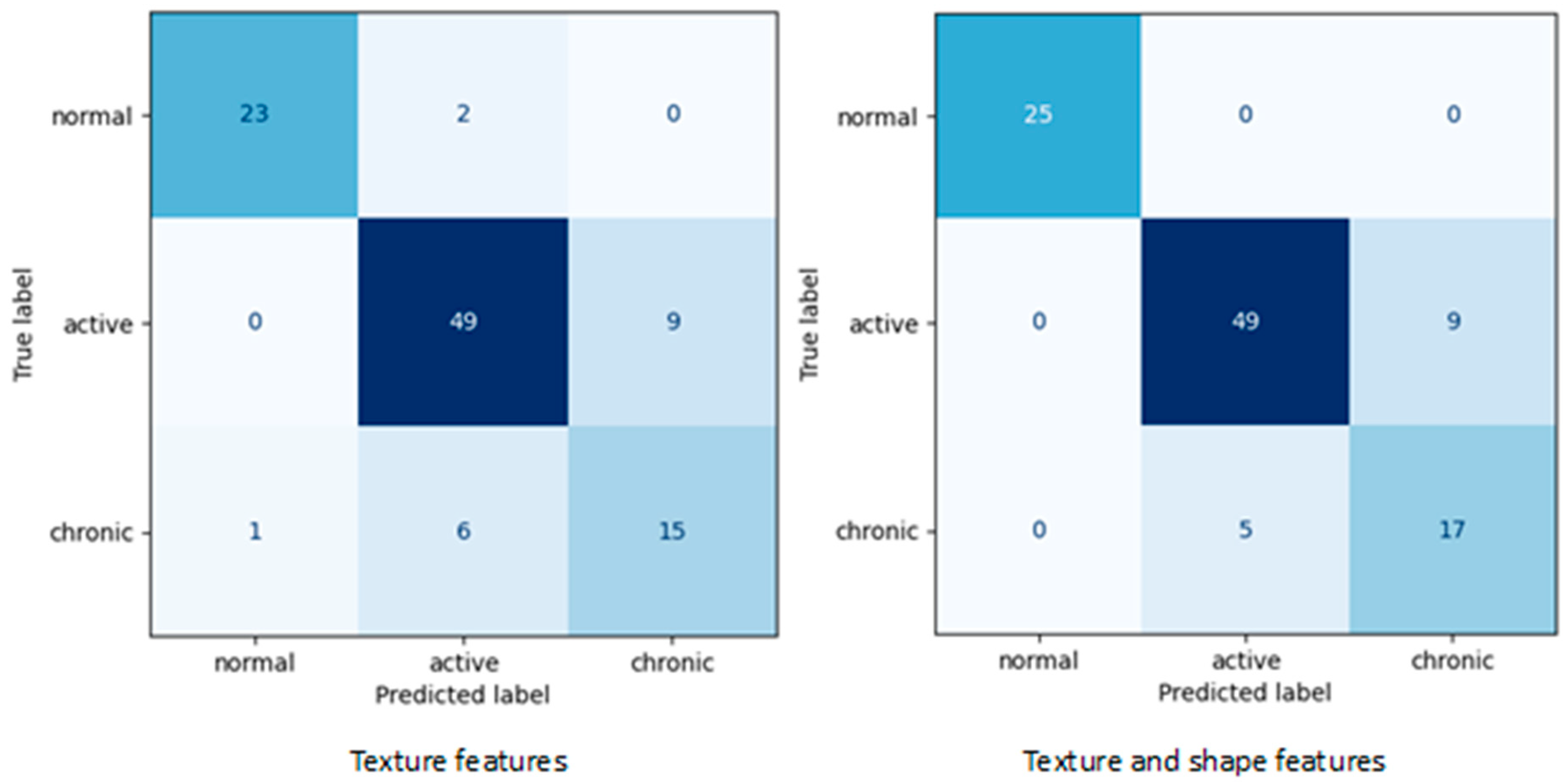 Biomedicines 13 01381 g002