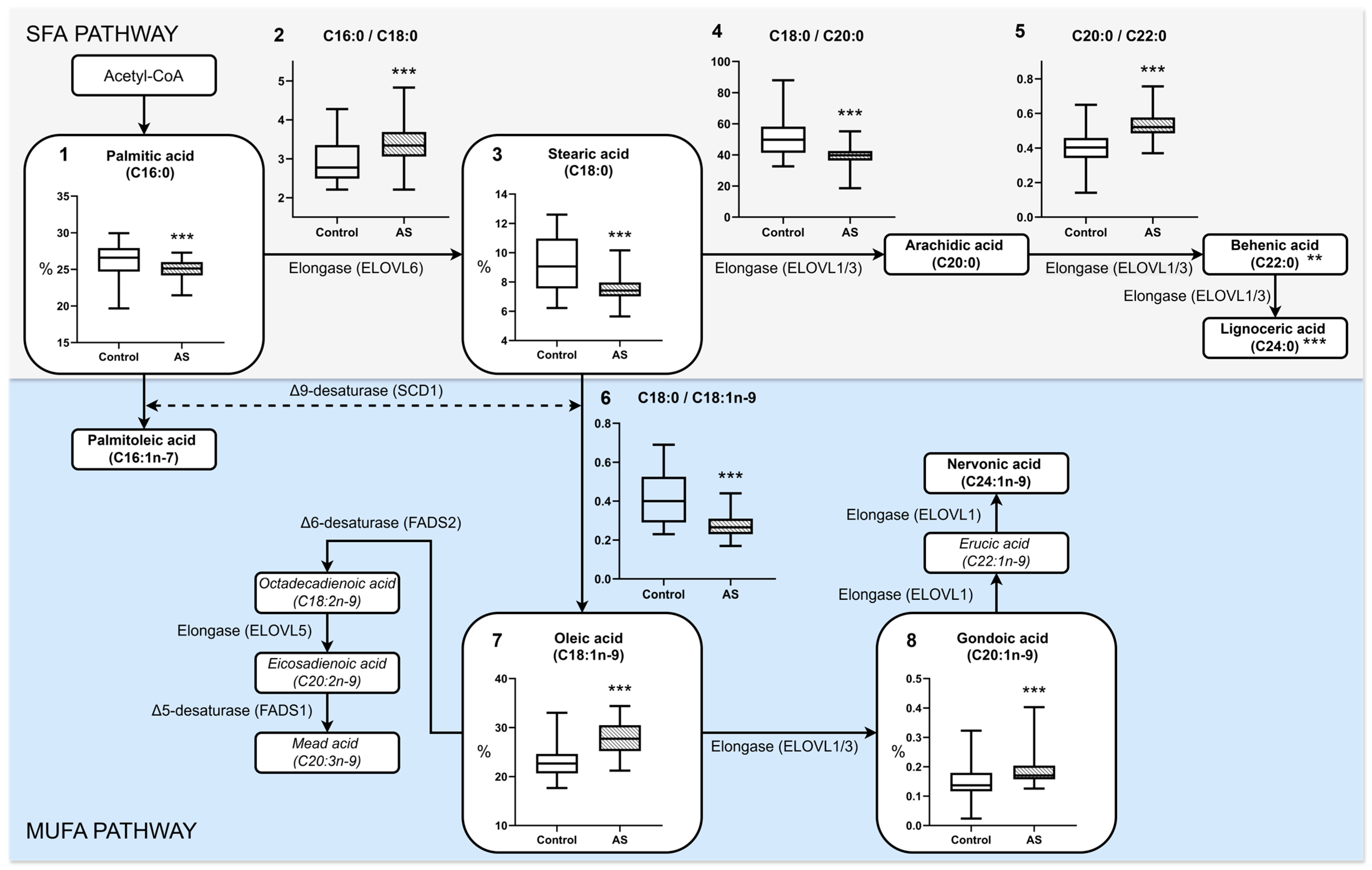 Biomedicines 13 01383 g002 Biomedicines 13 01383 g002