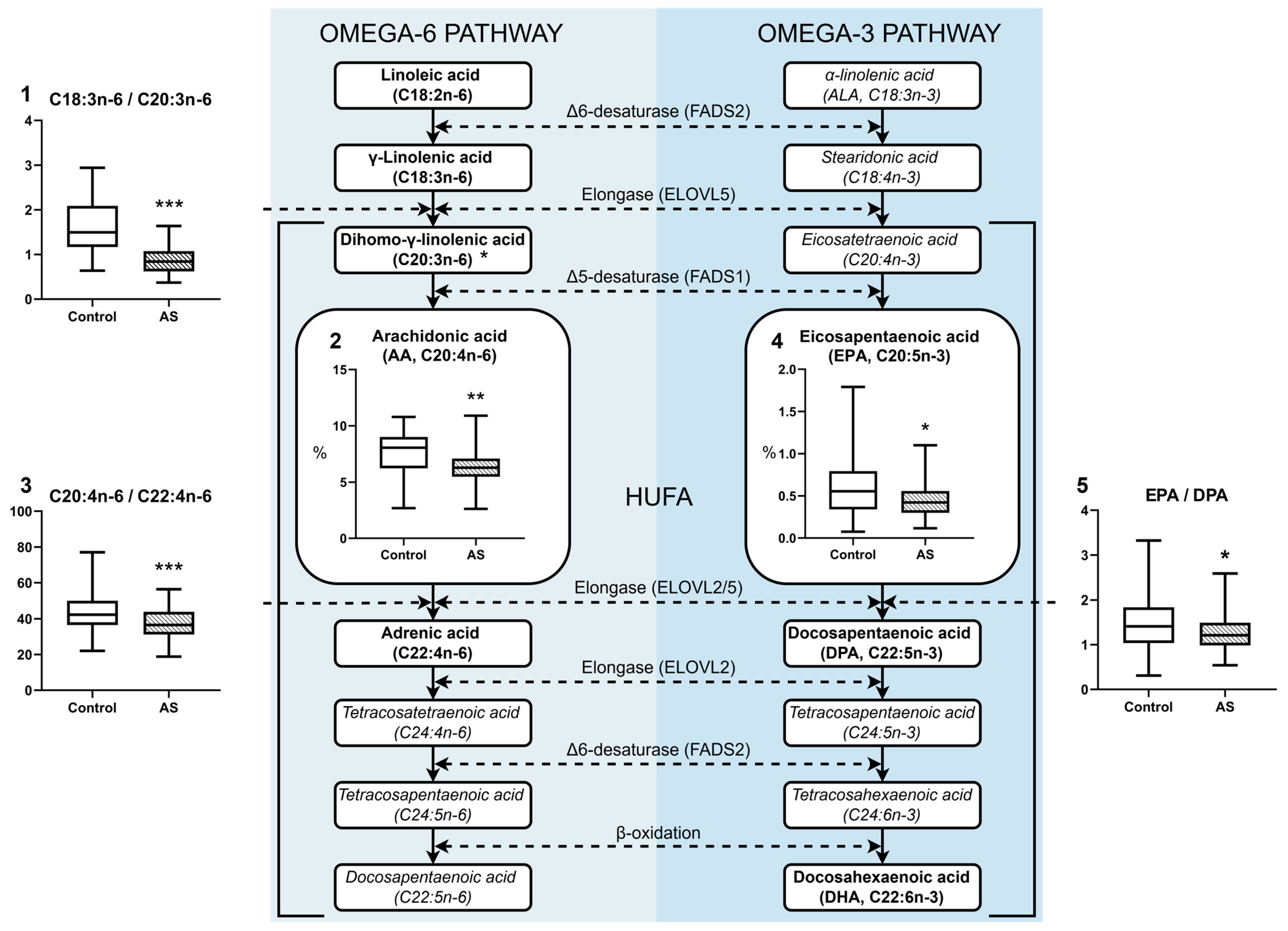 Biomedicines 13 01383 g003 Biomedicines 13 01383 g003