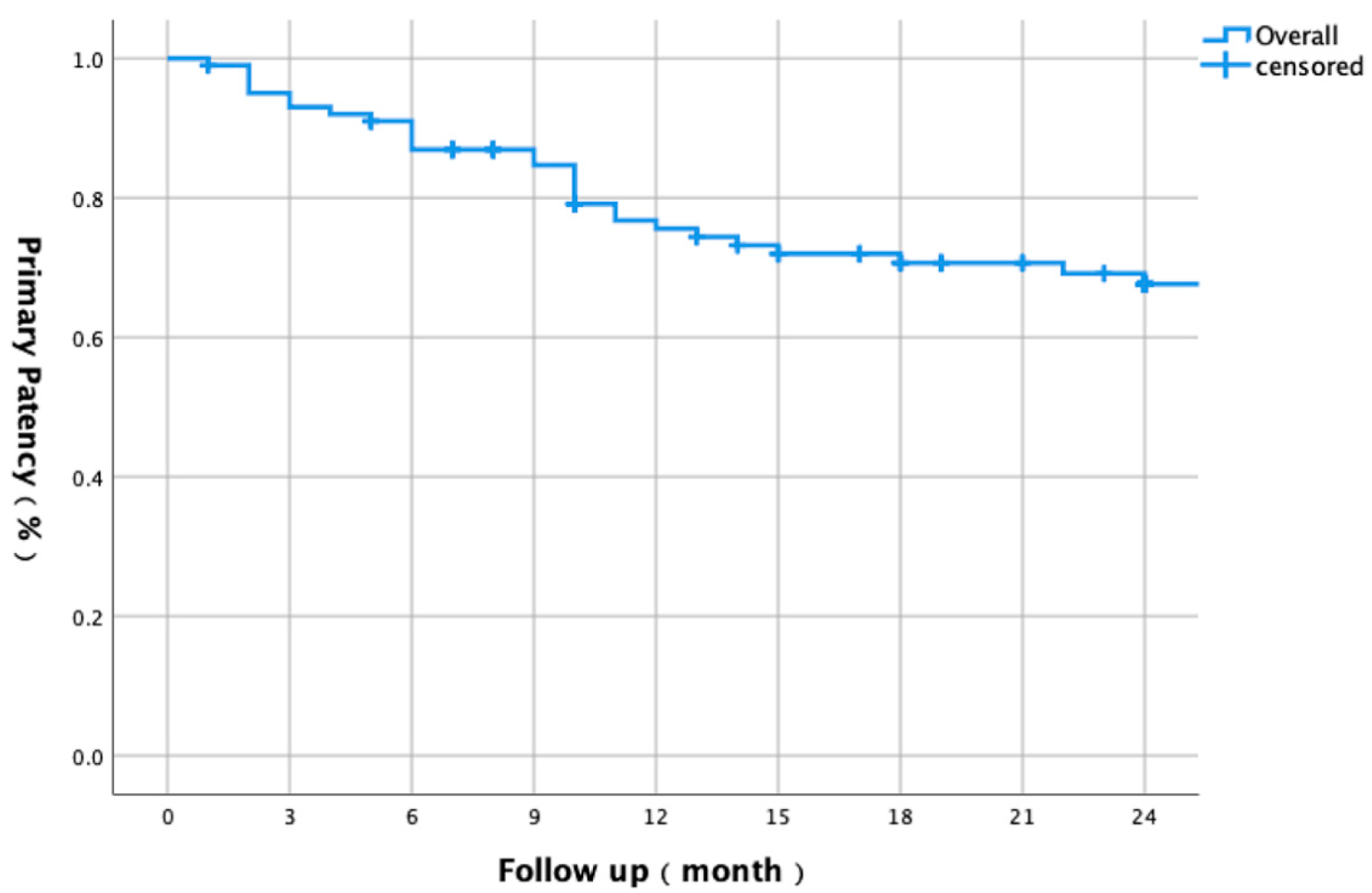 Biomedicines 13 01384 g001