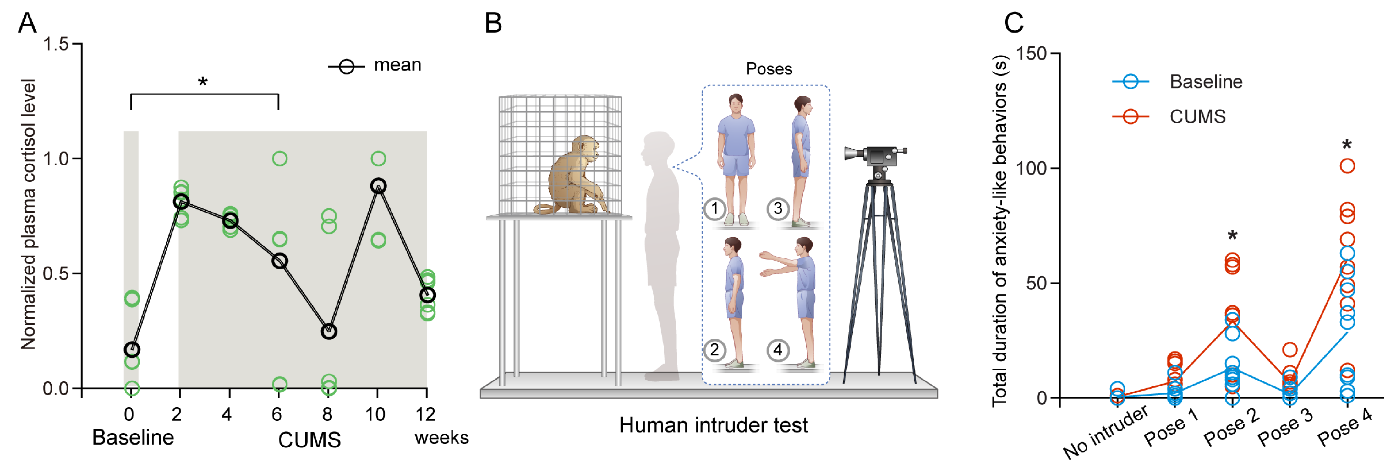 Biomedicines 13 01389 g002