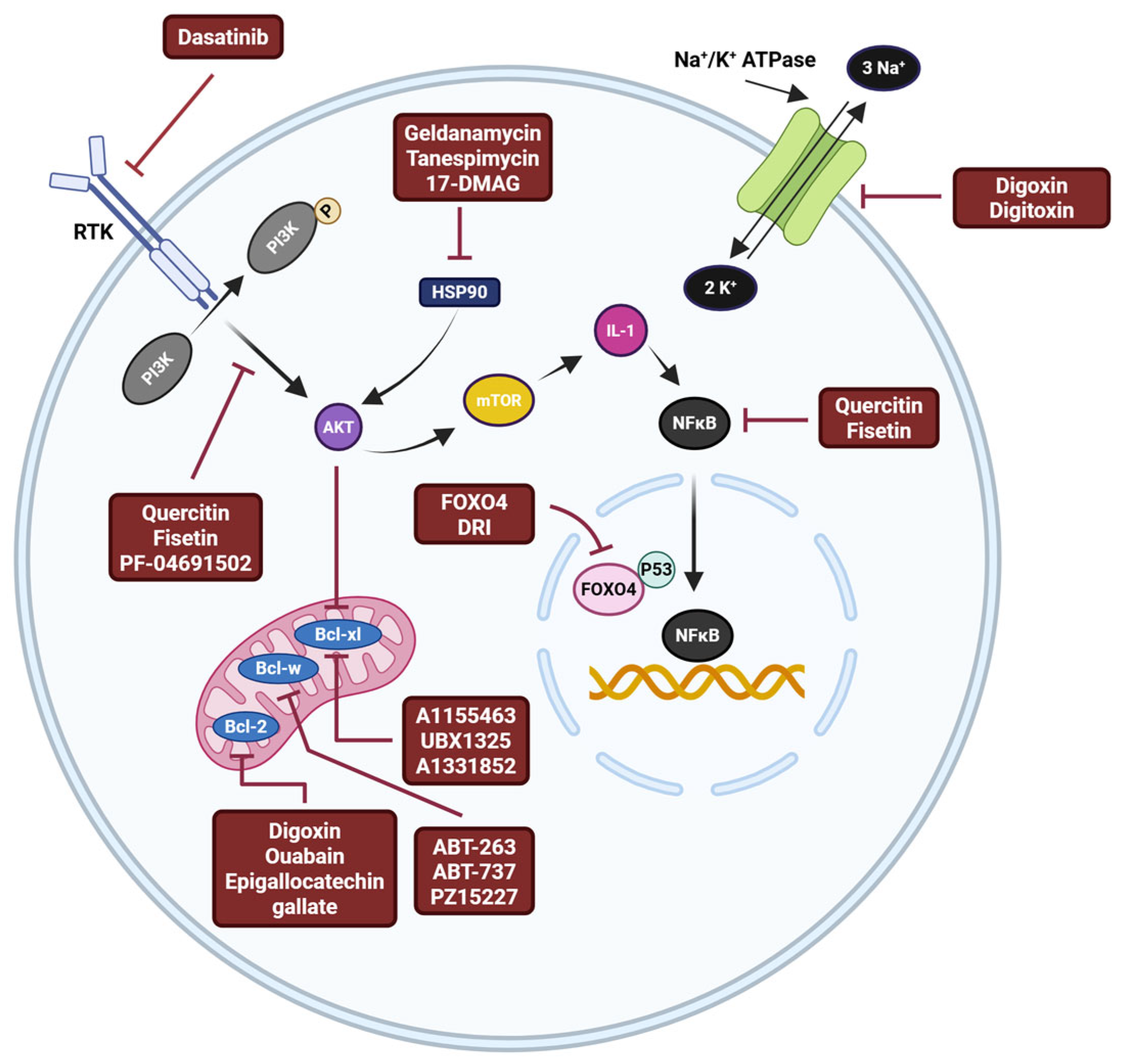 Biomedicines 13 01400 g002