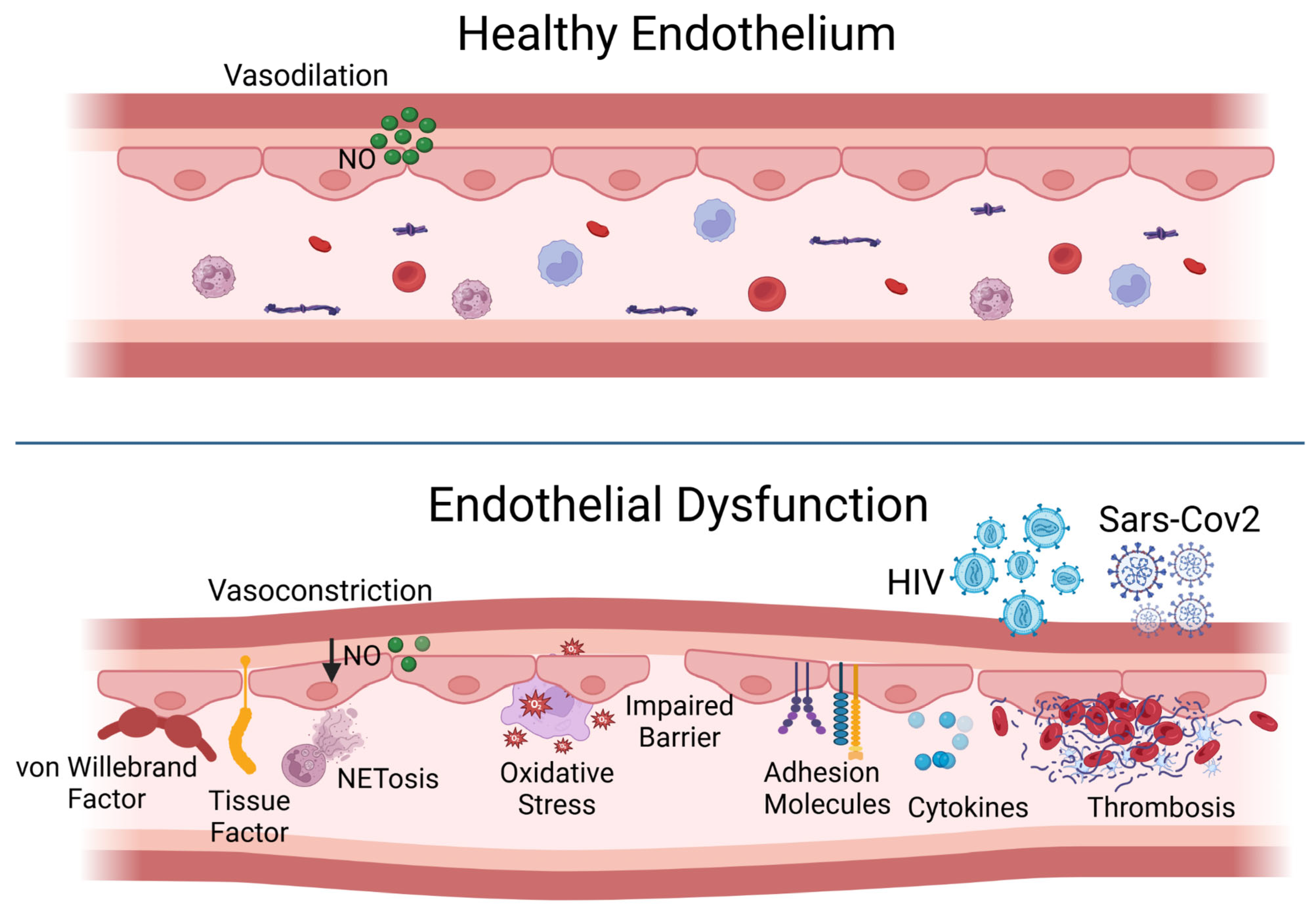Biomedicines 13 01403 g001