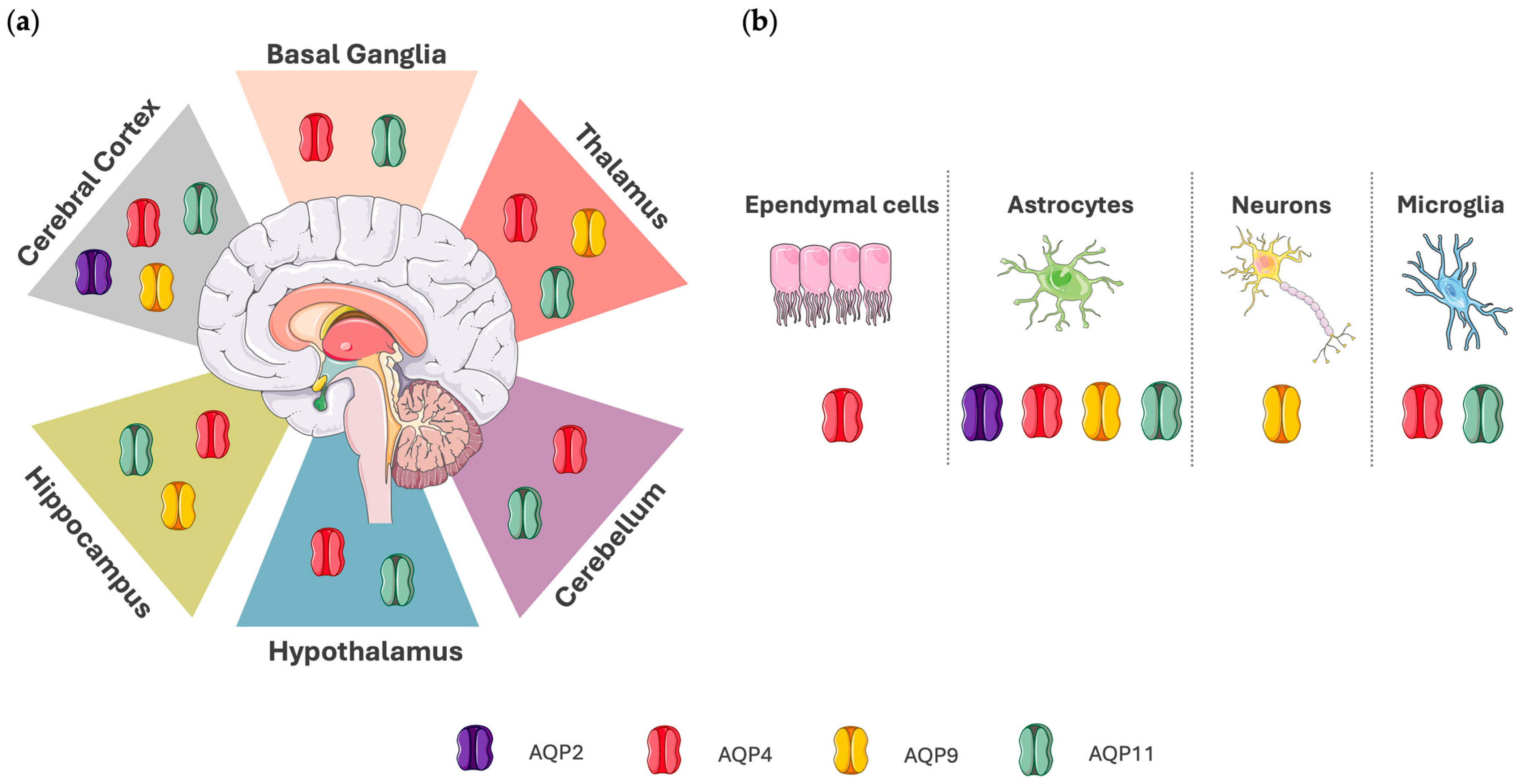 Biomedicines 13 01406 g001