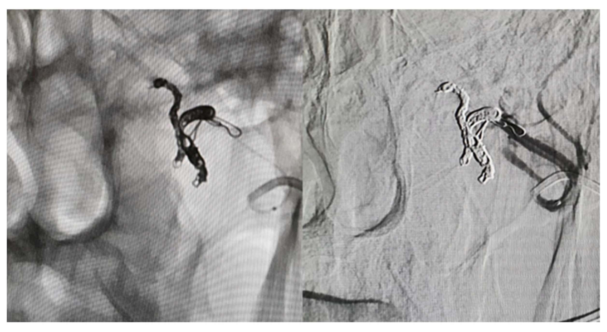 Biomedicines 13 01410 g006 Biomedicines 13 01410 g006