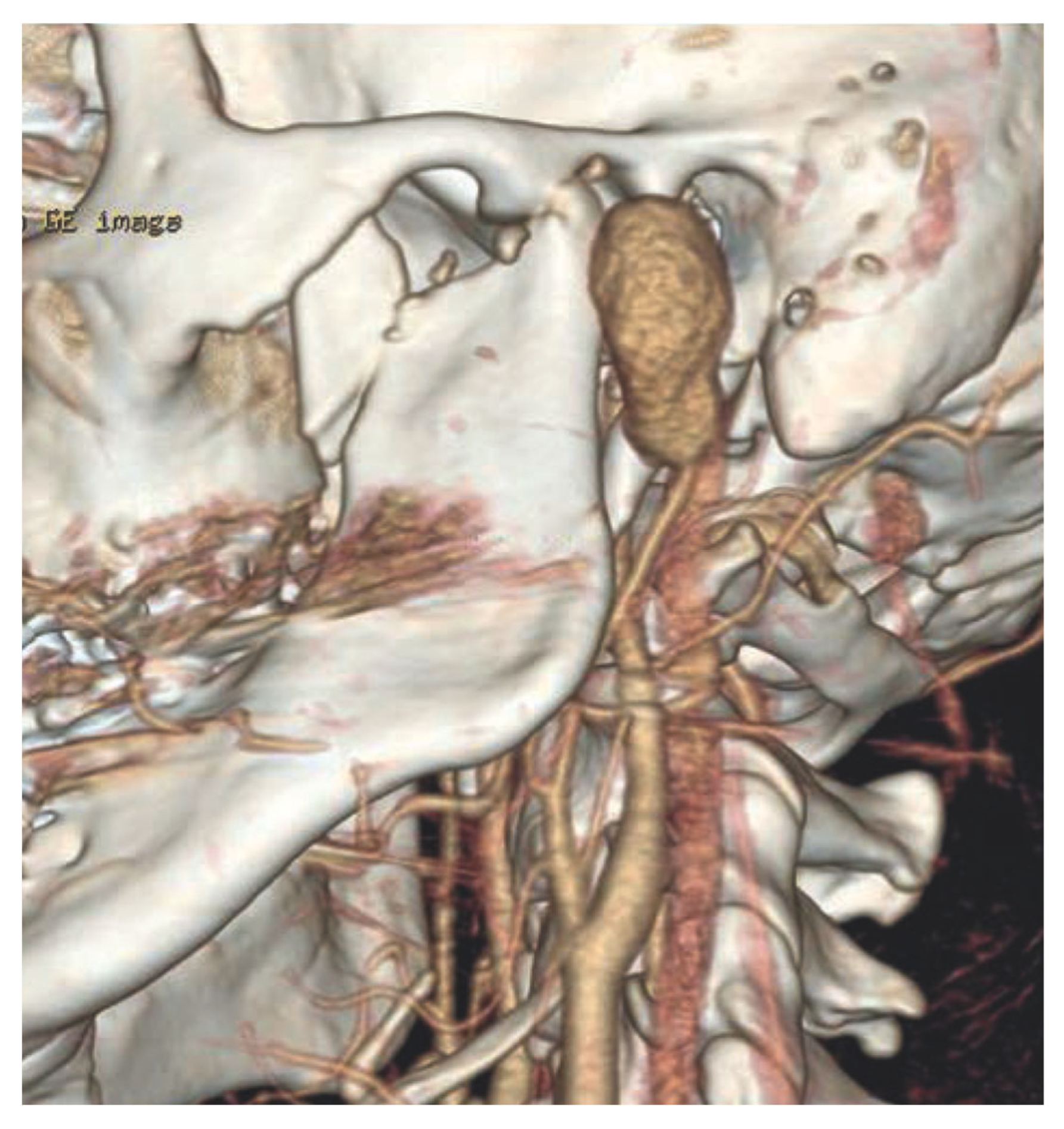 Biomedicines 13 01410 g007 Biomedicines 13 01410 g007