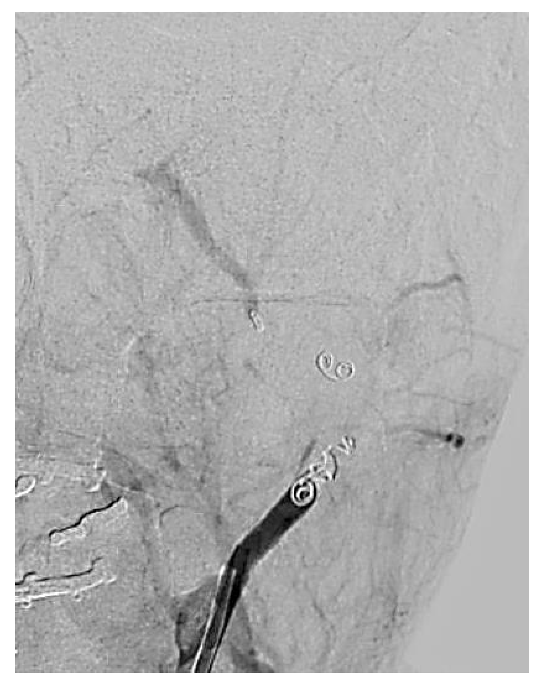 Biomedicines 13 01410 g008 Biomedicines 13 01410 g008