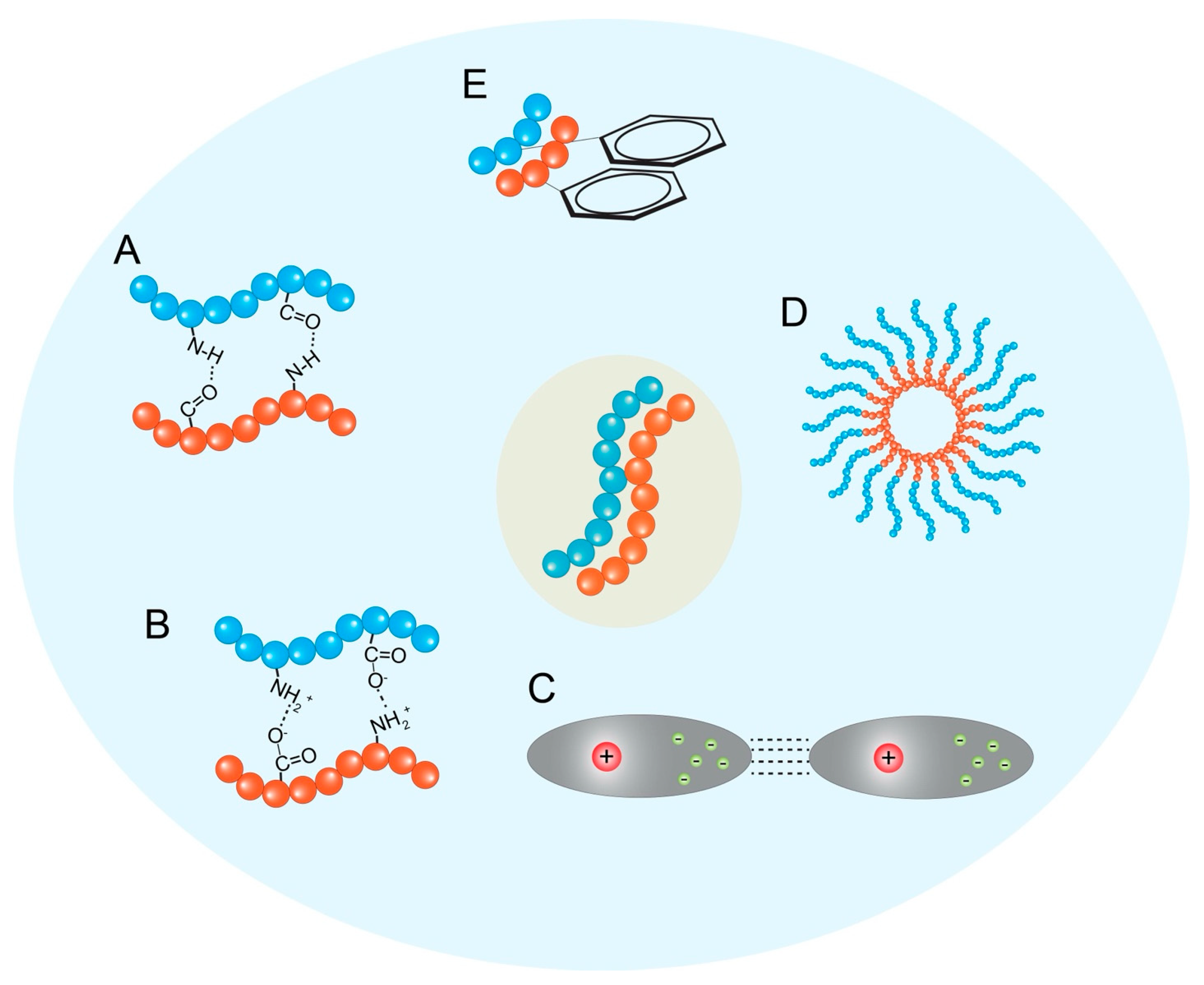 Biomedicines 13 01415 g002