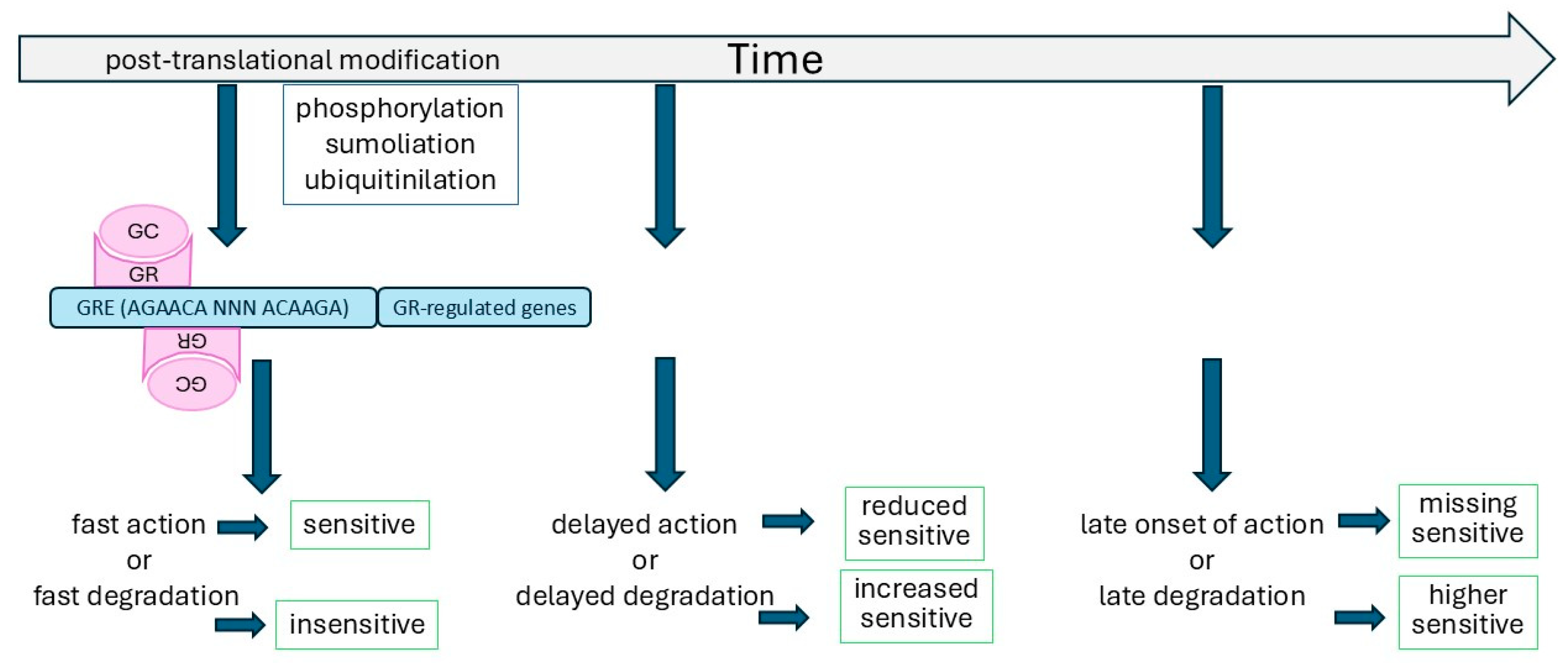 Biomedicines 13 01418 g002