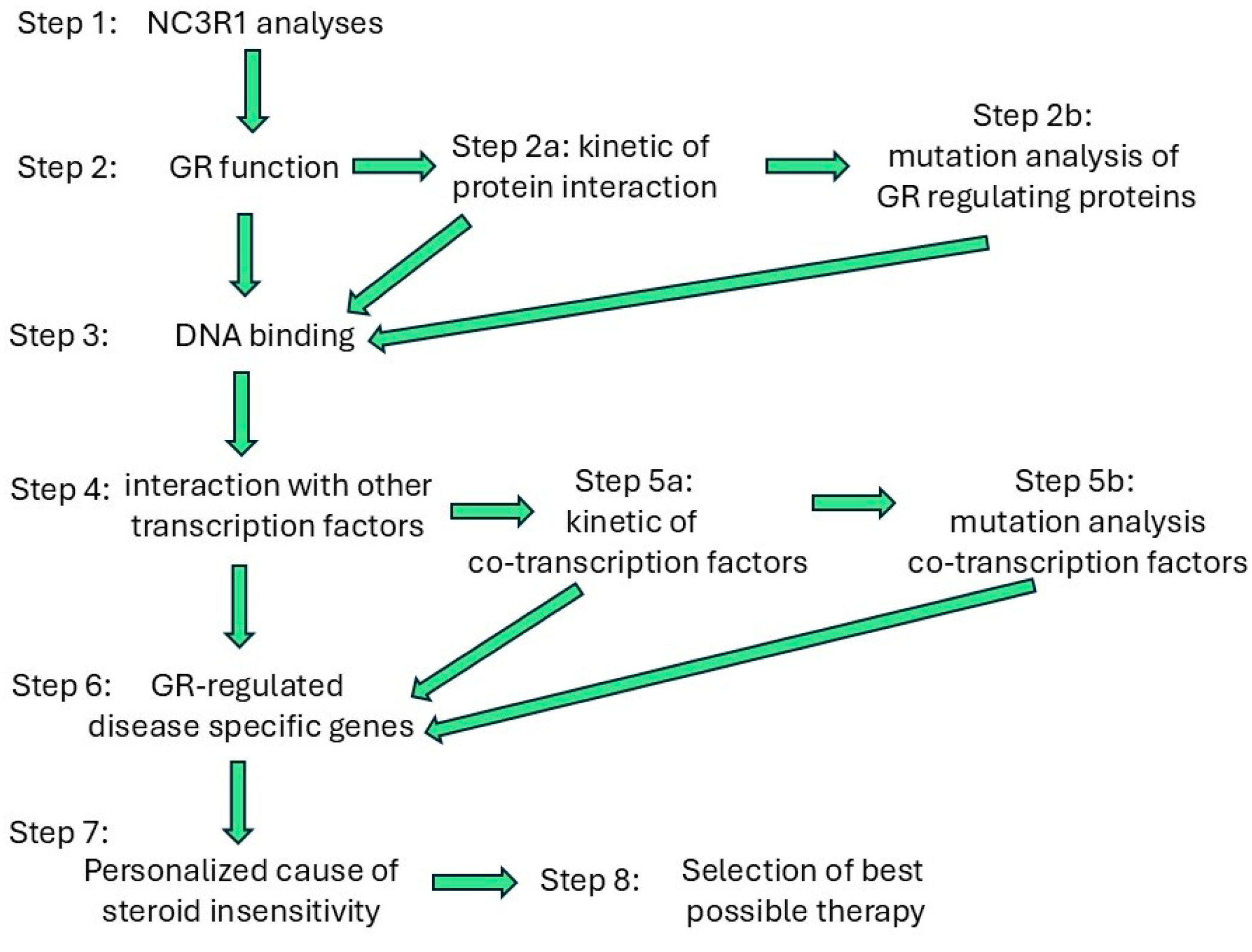 Biomedicines 13 01418 g004