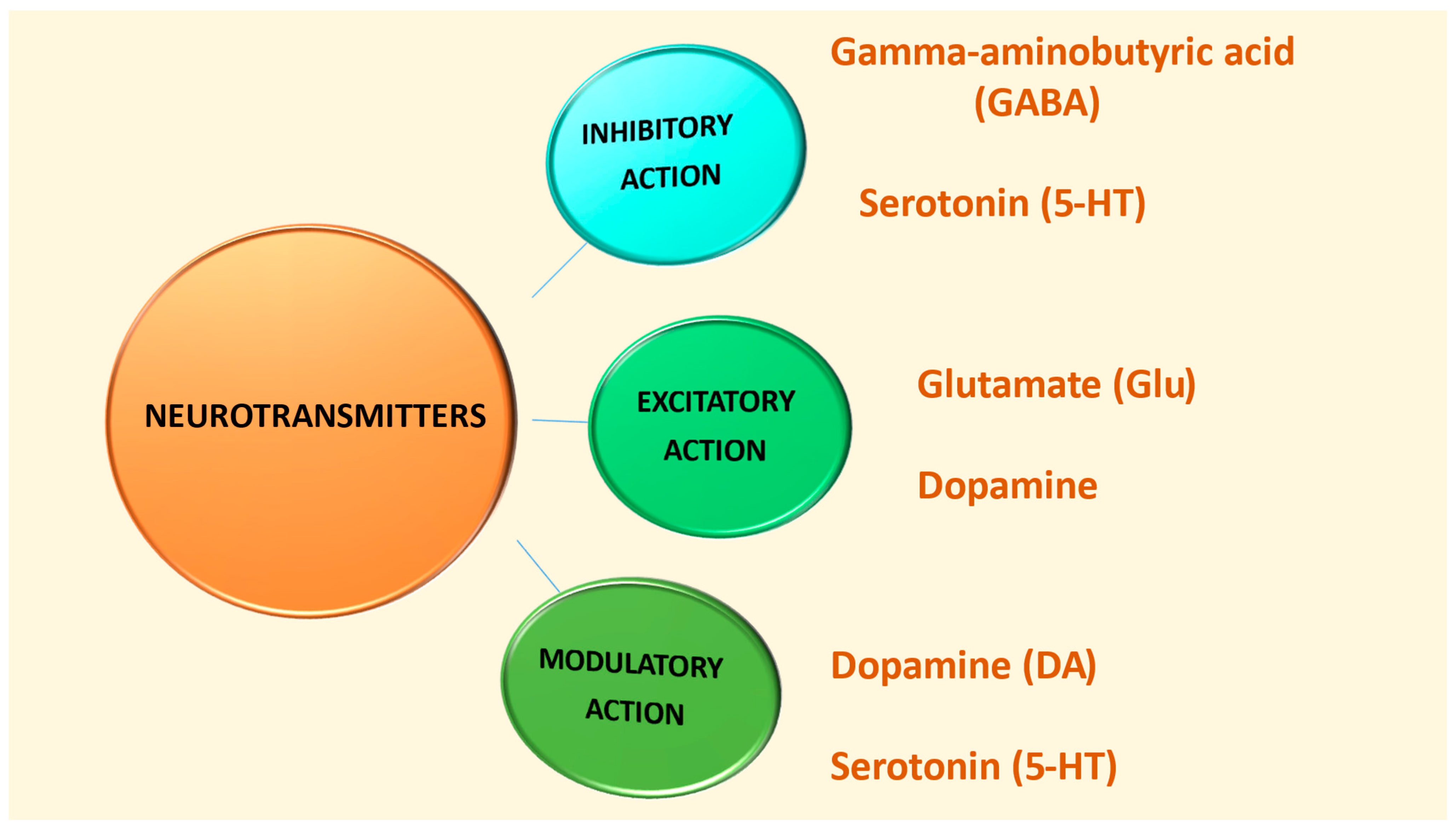 Biomedicines 13 01420 g002