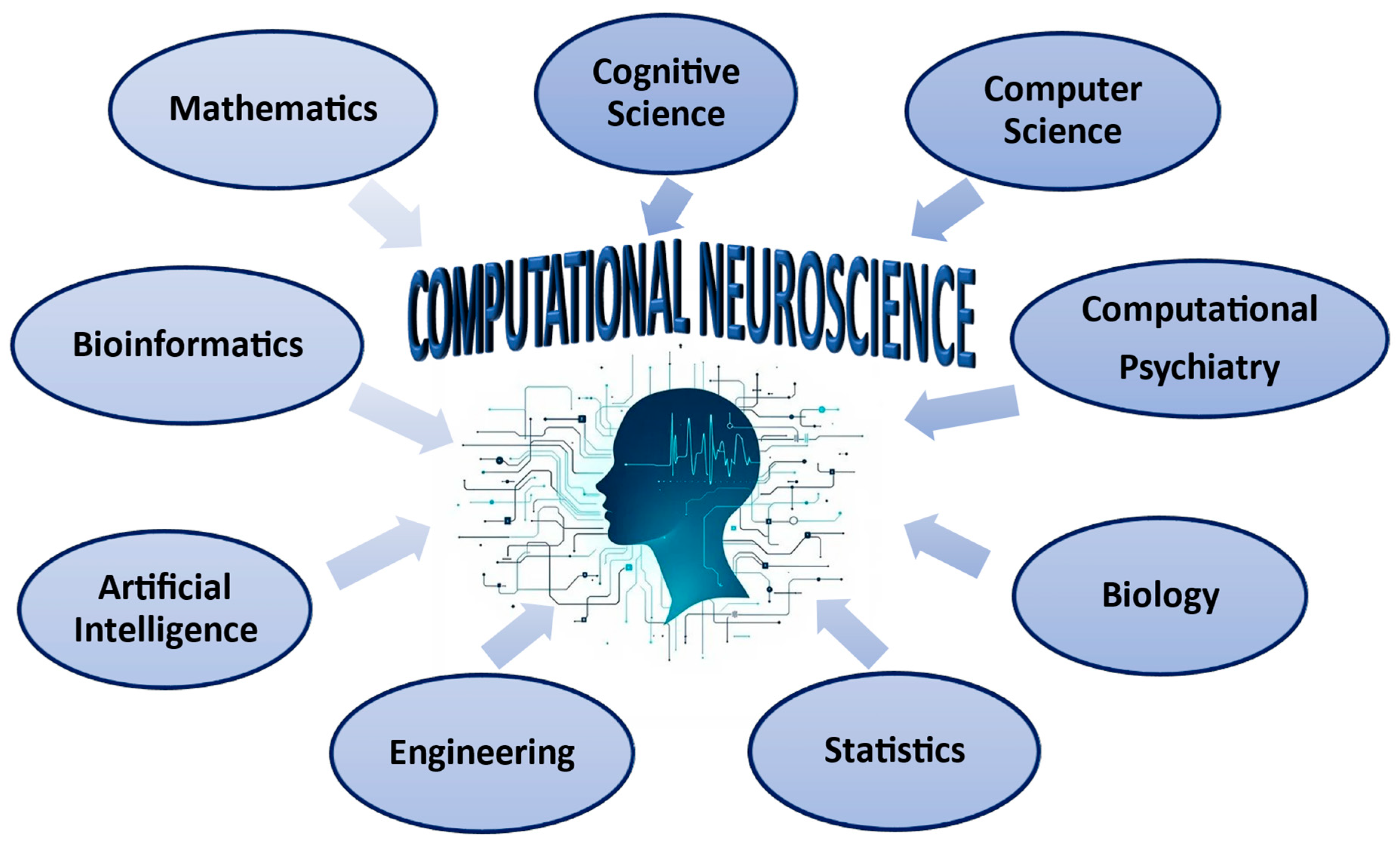 Biomedicines 13 01420 g004