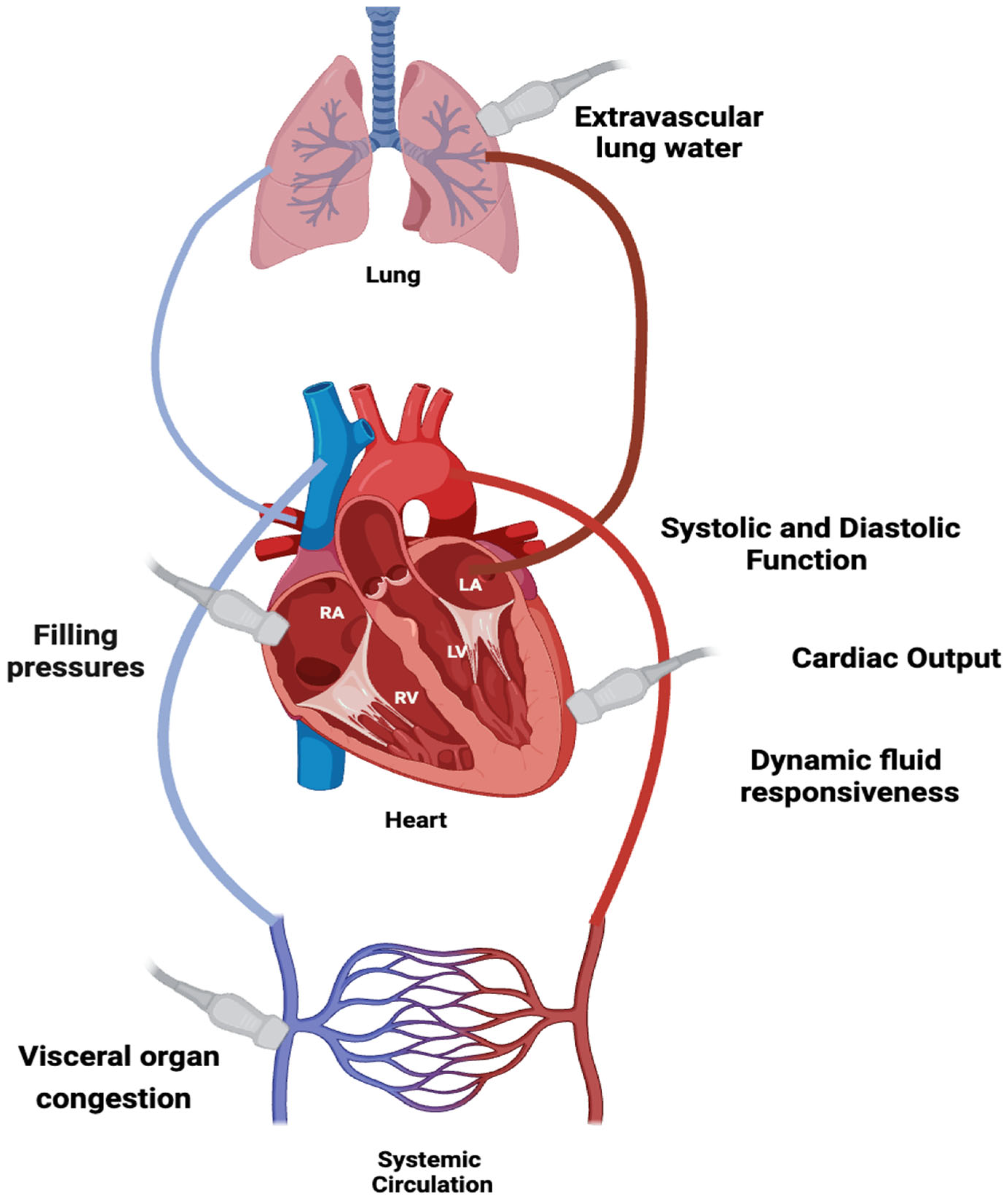 Biomedicines 13 01426 g001