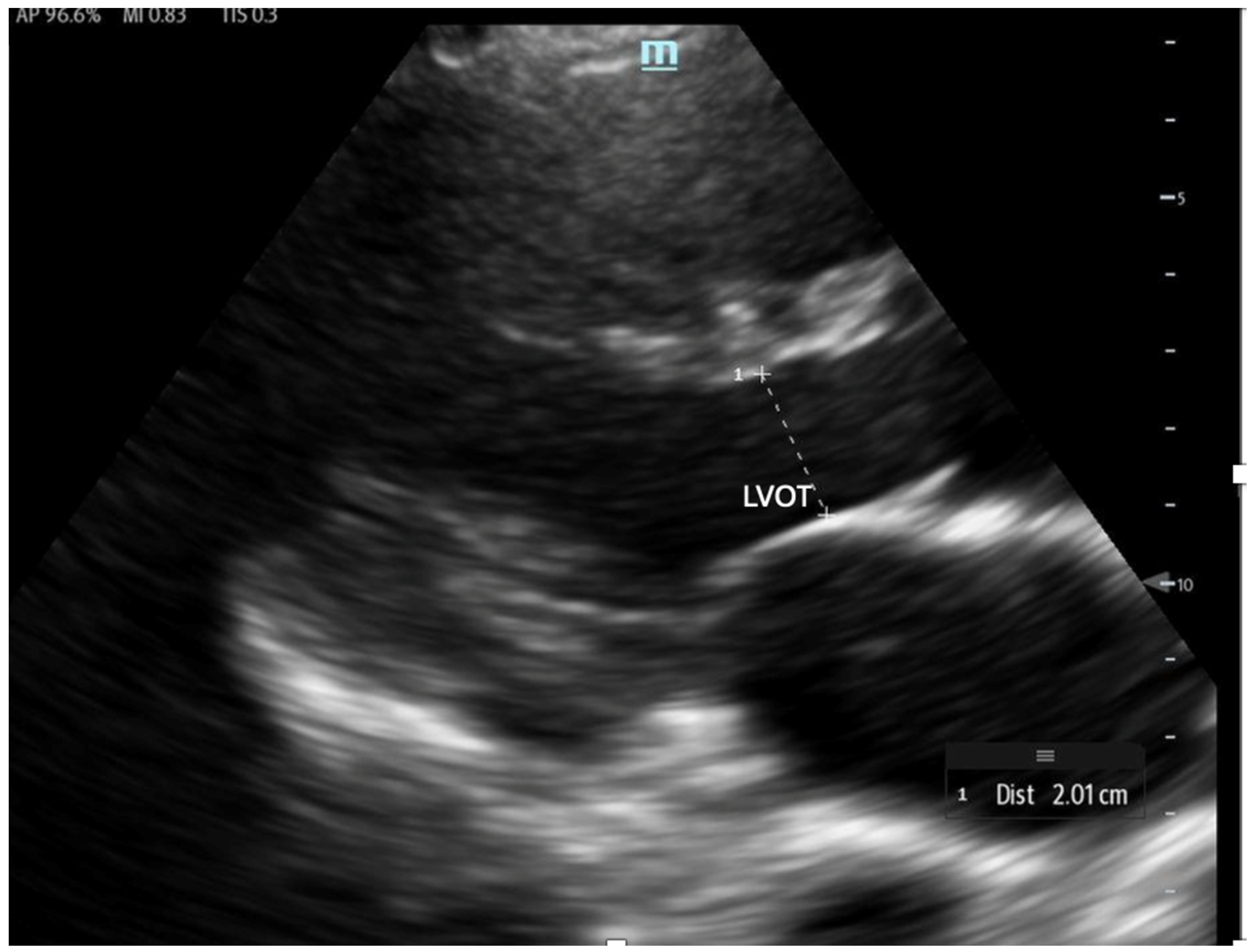 Biomedicines 13 01426 g012