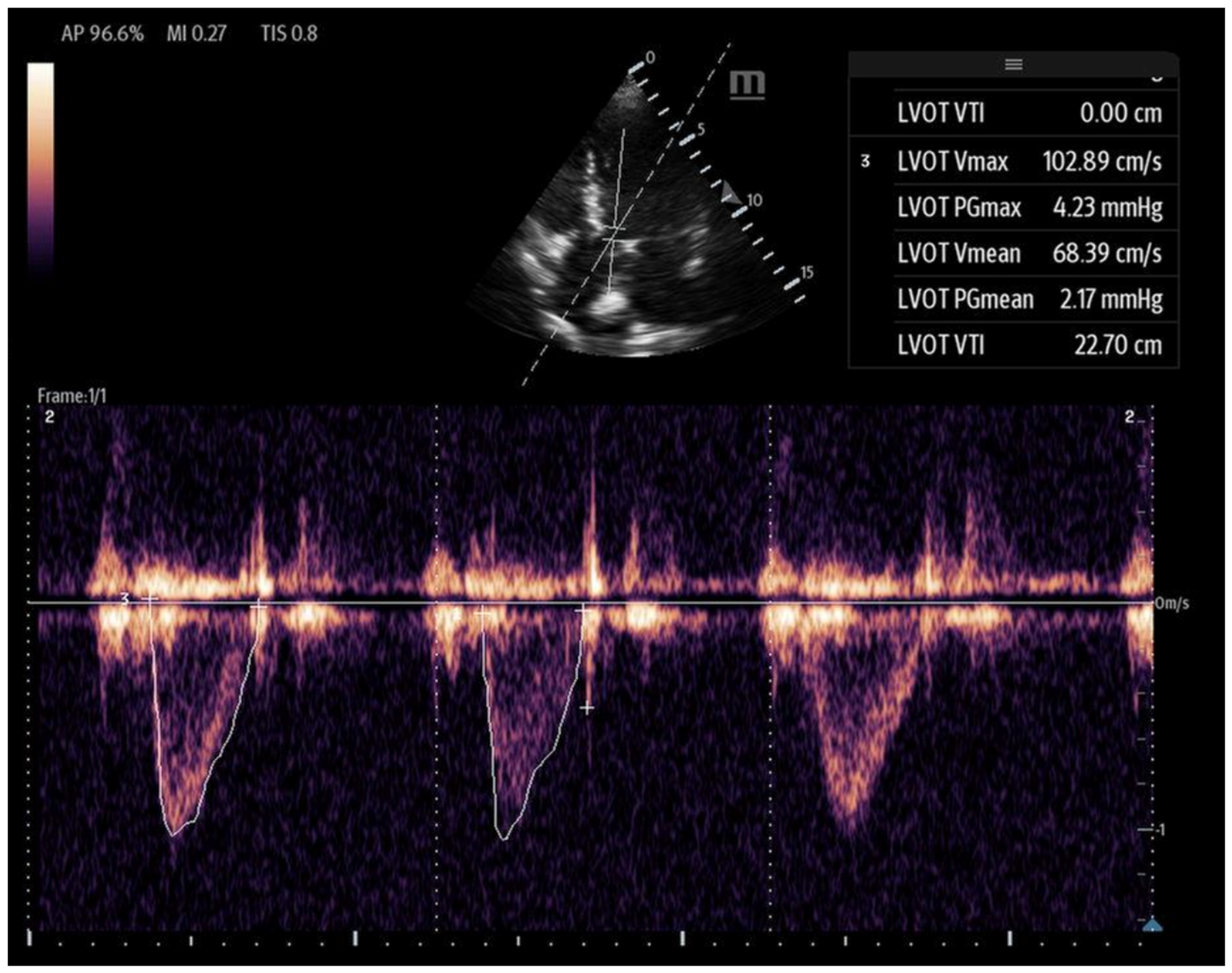 Biomedicines 13 01426 g013