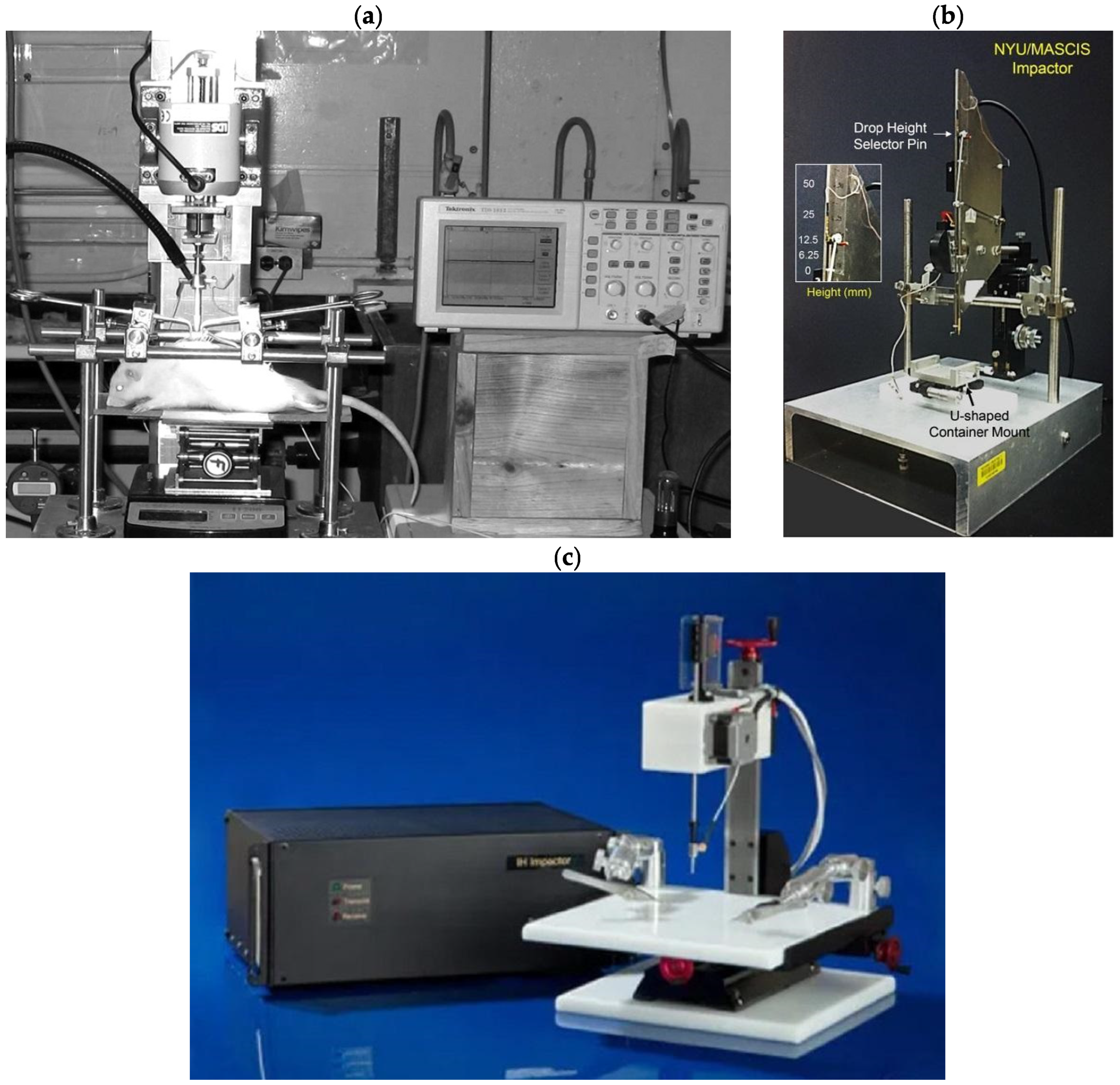 Biomedicines 13 01427 g003